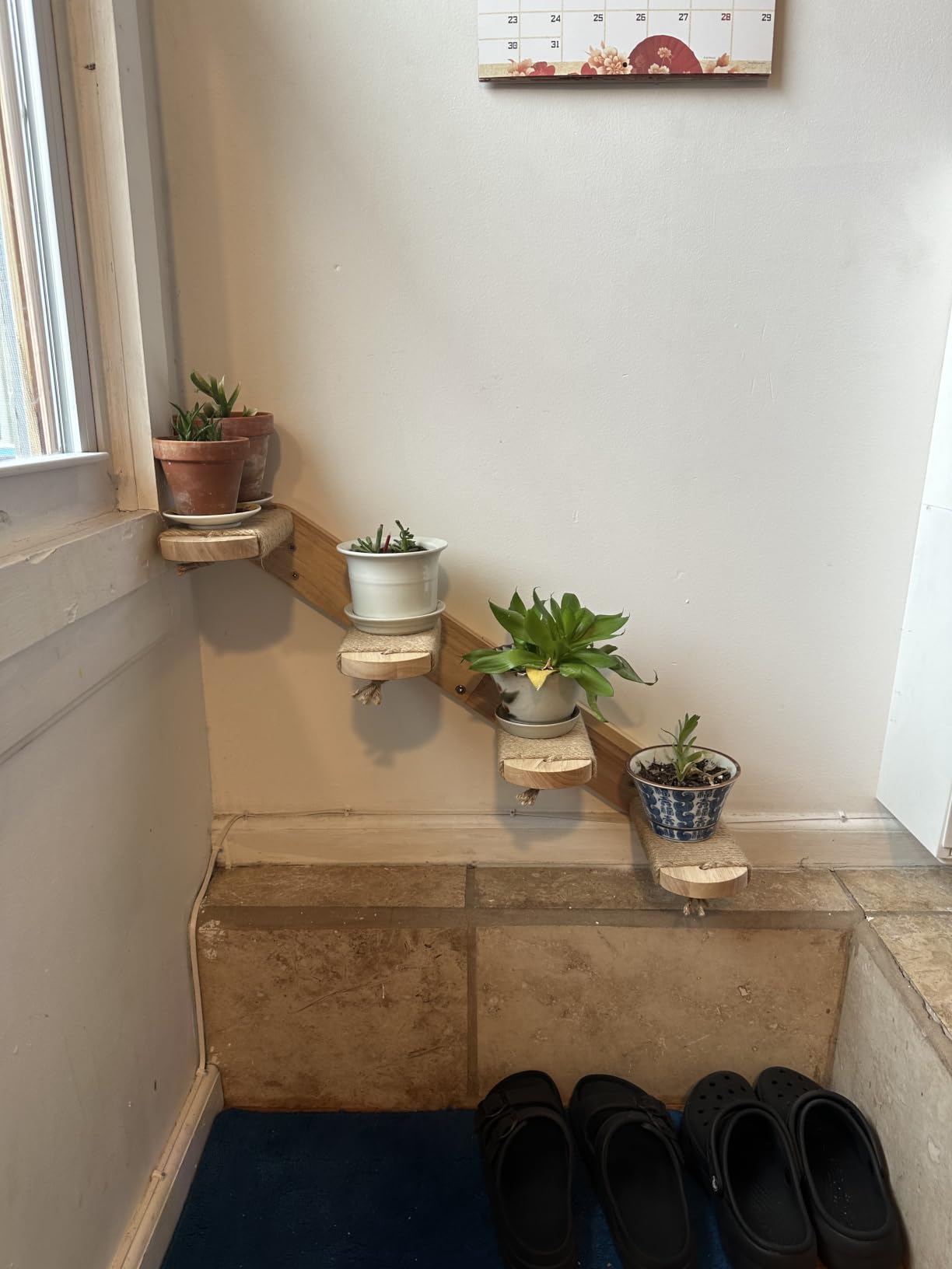FUKUMARU Cat Climbing Shelf Wall Mounted, Large | Four Step Cat Stair, Natural Jute Scratching, Solid Rubber Wood, Kitten Shelves Furniture customer photo 1