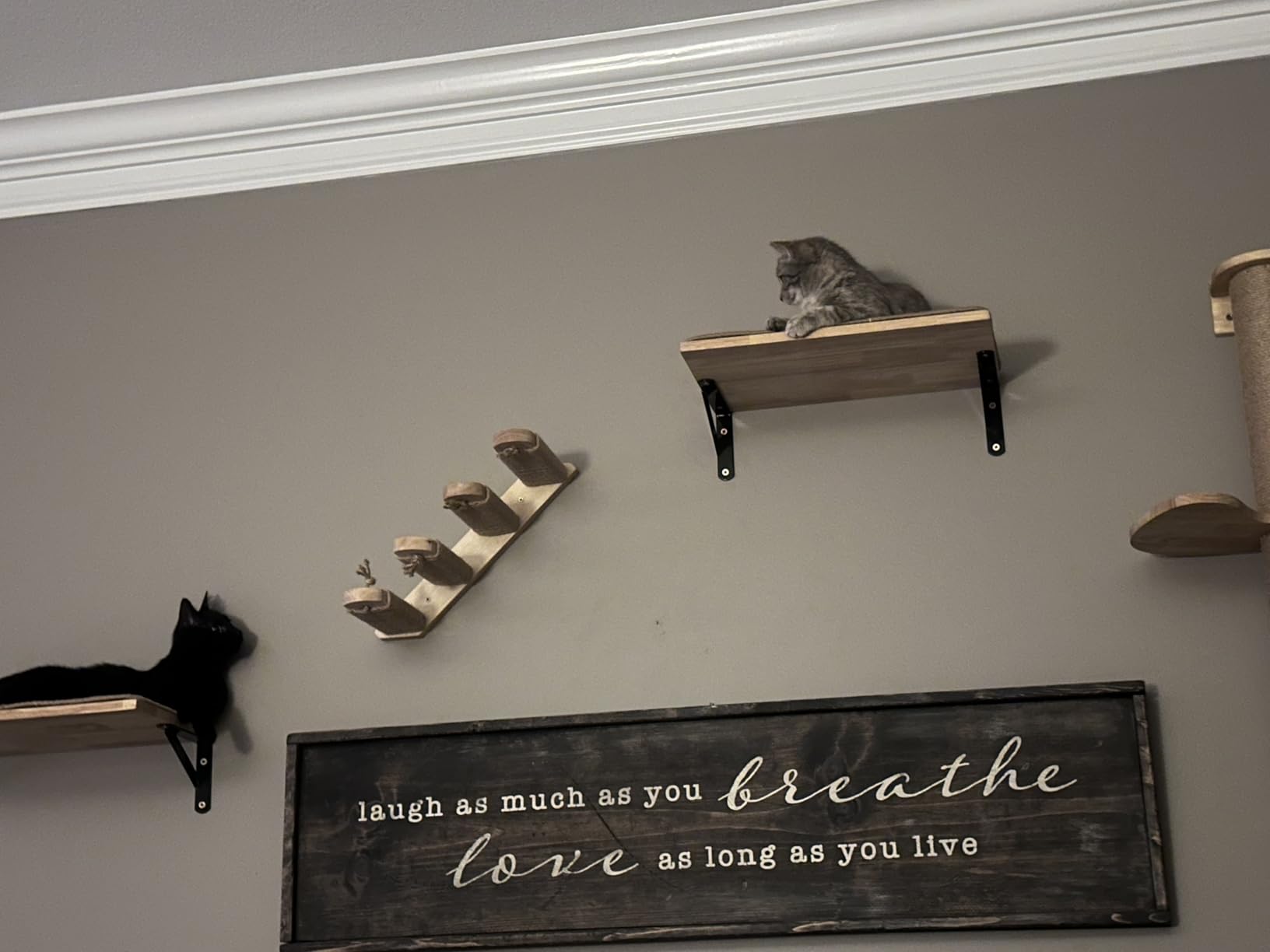 FUKUMARU Cat Climbing Shelf Wall Mounted, Large | Four Step Cat Stair, Natural Jute Scratching, Solid Rubber Wood, Kitten Shelves Furniture customer photo 2