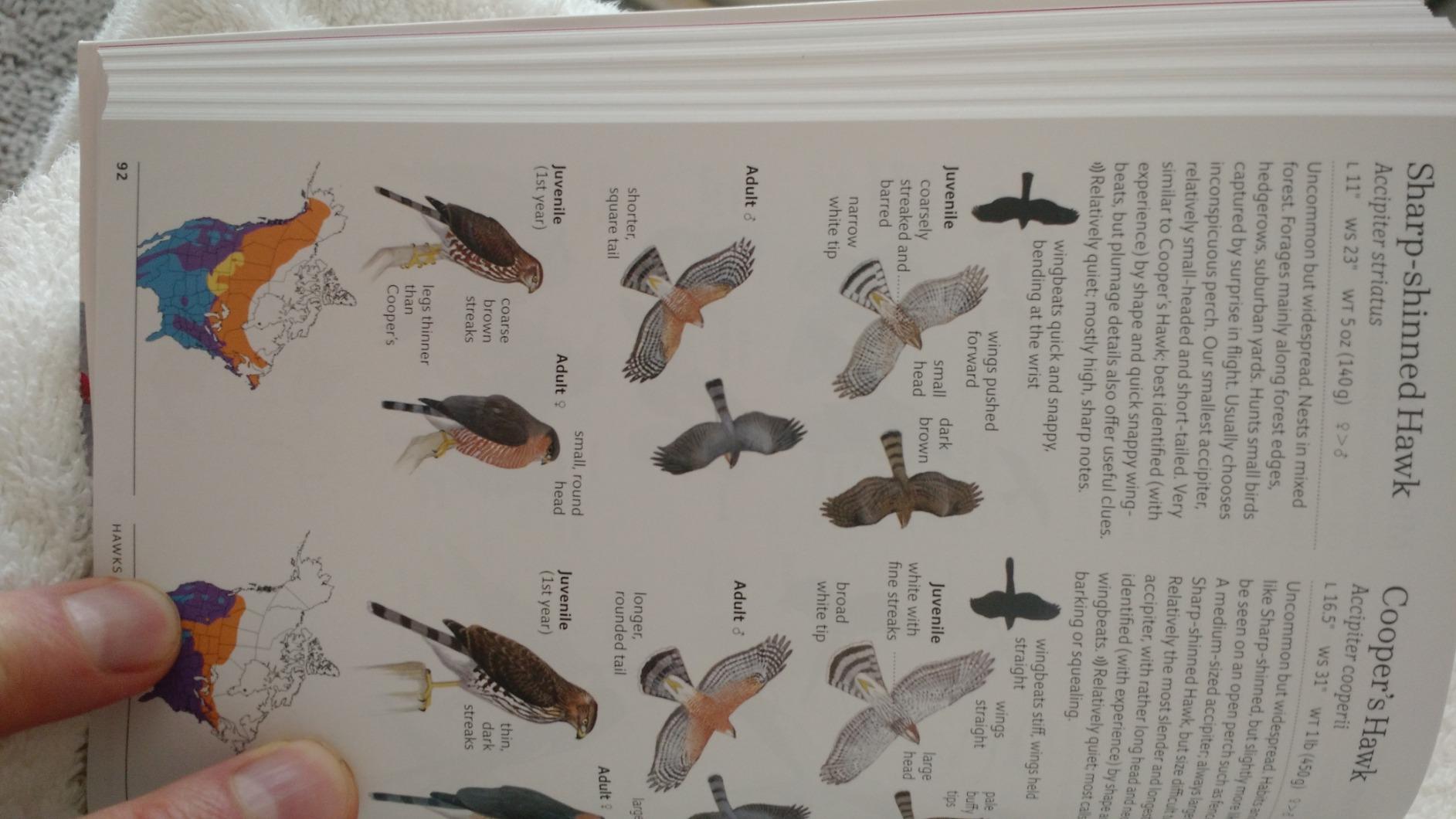 The Sibley Field Guide to Birds of Eastern North America: Second Edition (Sibley Guides) customer photo 1