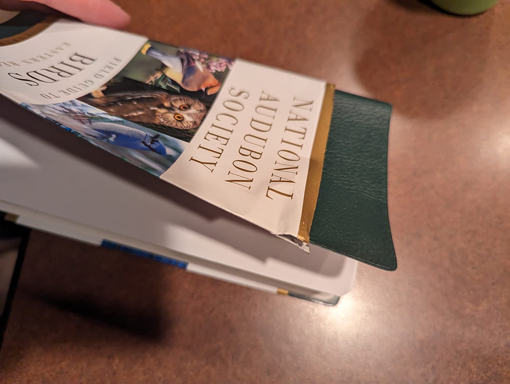 National Audubon Society Field Guide to North American Birds: Eastern Region, Revised Edition customer photo 1