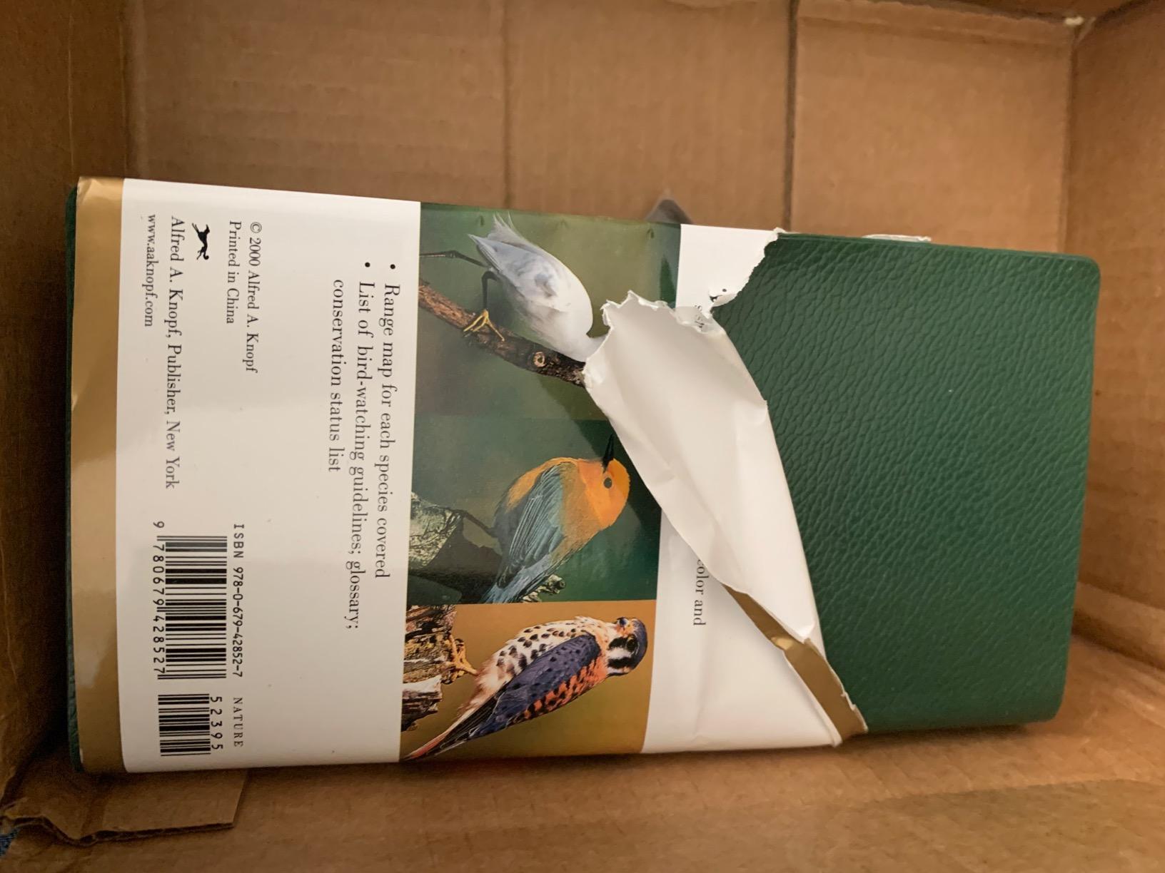 National Audubon Society Field Guide to North American Birds: Eastern Region, Revised Edition customer photo 2