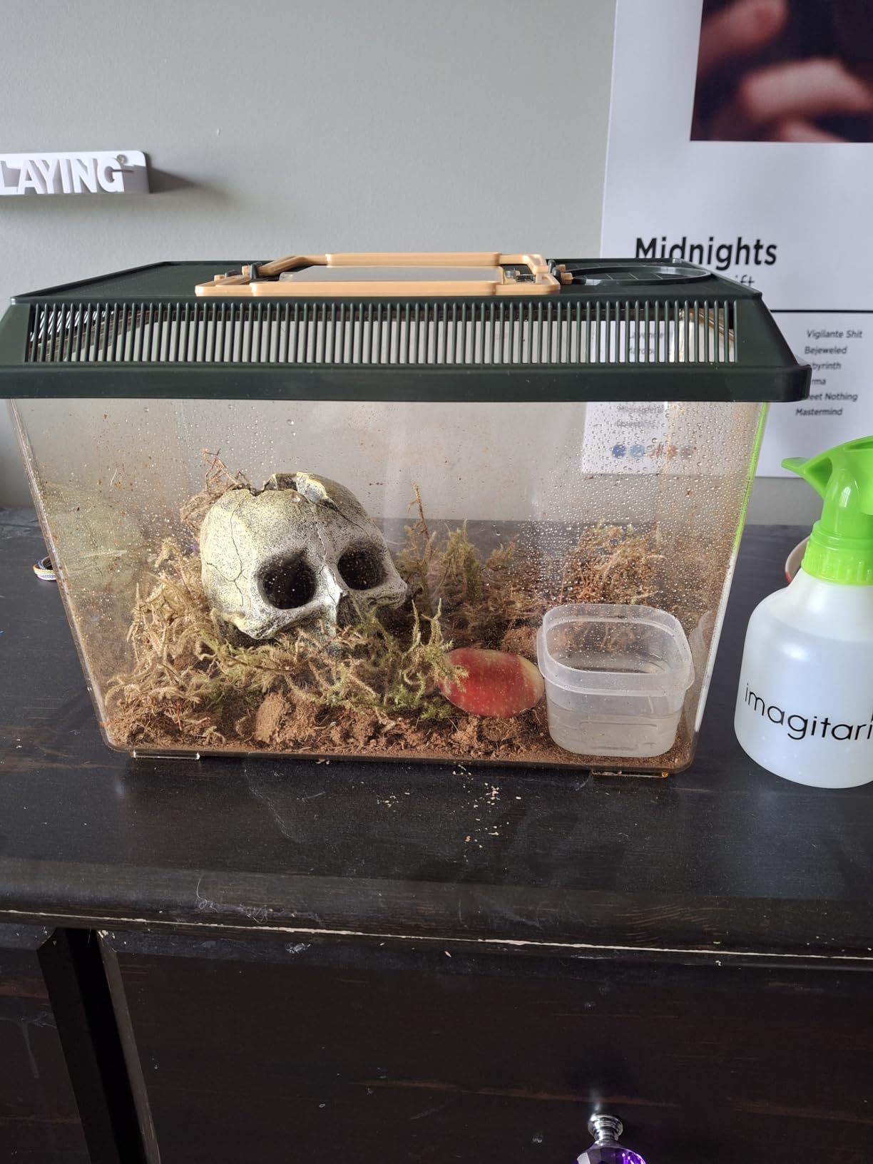 Exo Terra Faunarium, Plastic Reptile Terrarium, Medium, PT2260 customer photo 1