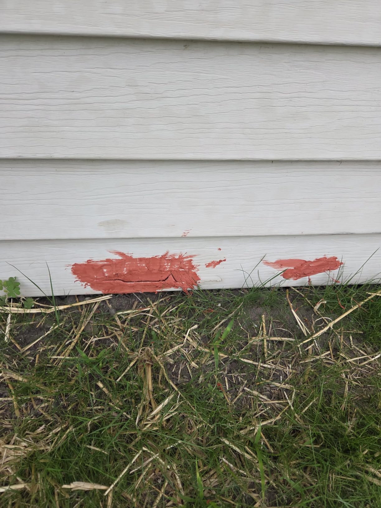 Bondo Glazing and Spot Putty, Fills Pinholes, Scratches, Minor Dings & Hairline Cracks, 4.5 oz, 1 Tube customer photo 2