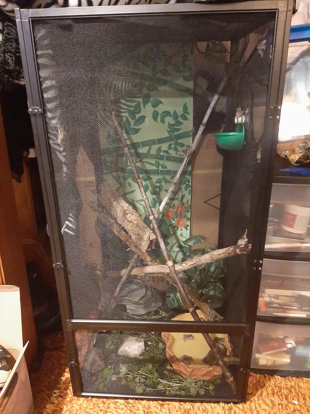 Zoo Med ReptiBreeze Open Air Screen Cage, Large, 18 x 18 x 36-Inches customer photo 2