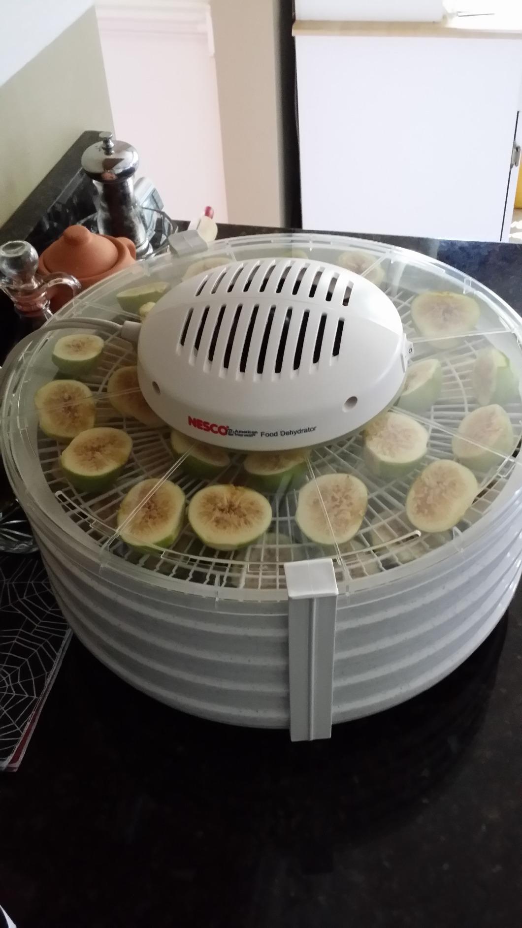 NESCO FD-37 Food Dehydrator, For Snacks, Fruit, Beef Jerky,White/Clear, 4 Trays customer photo 2