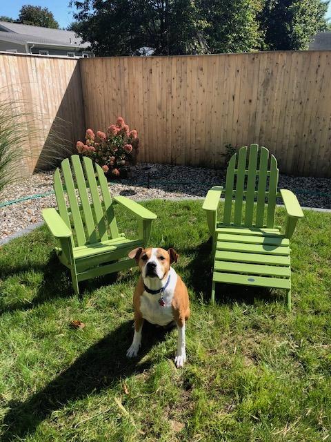 POLYWOOD AD5030GY Classic Folding Adirondack, Slate Grey customer photo 1