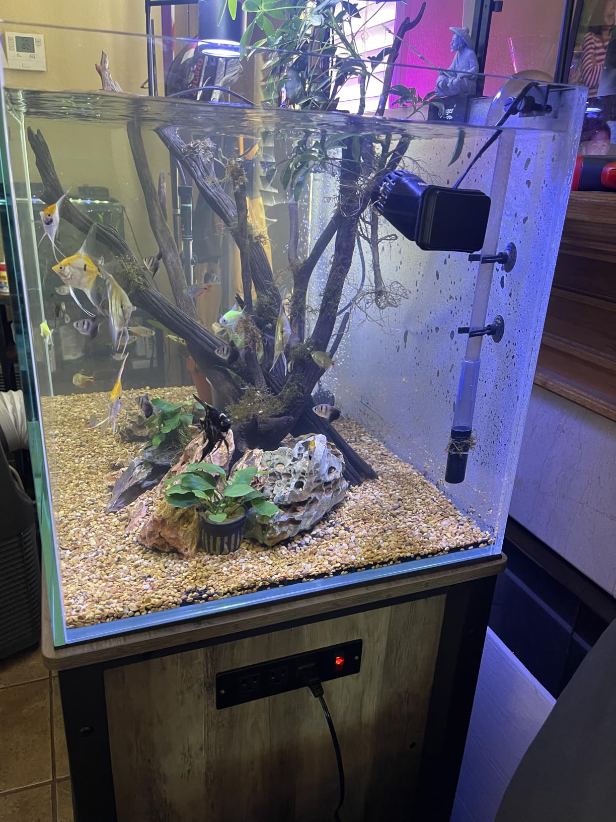 LANDEN Aquarium 60P 16 Gallon Ultra Clear Glass Rimless Fish Tank | 23.6x11.8x14.2in (60x30x36cm),6mm Low Iron Glass, leveling mat Included, Starter Freshwater Aquatic Plant Betta Turtle Tank customer photo 1