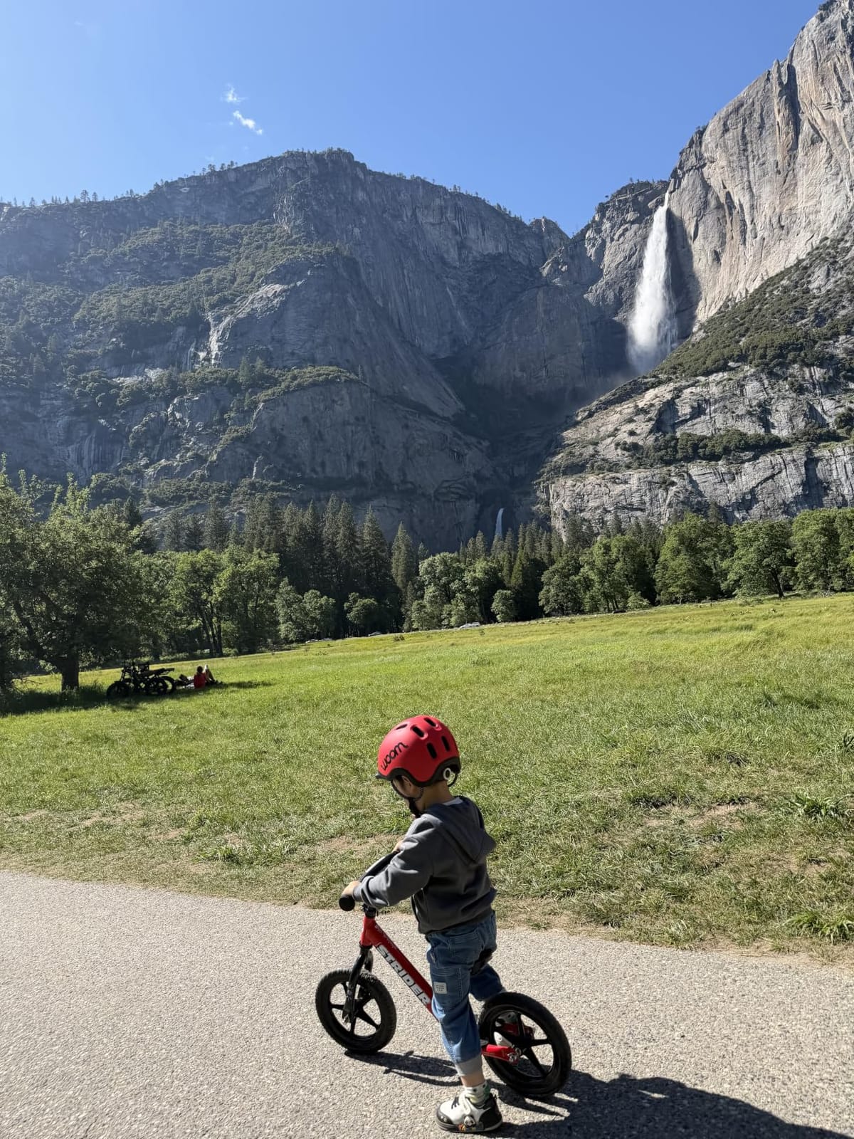 Strider 12 Sport, No Pedal Balance Bike for Kids Ages 1–4 Years, Pink customer photo 2