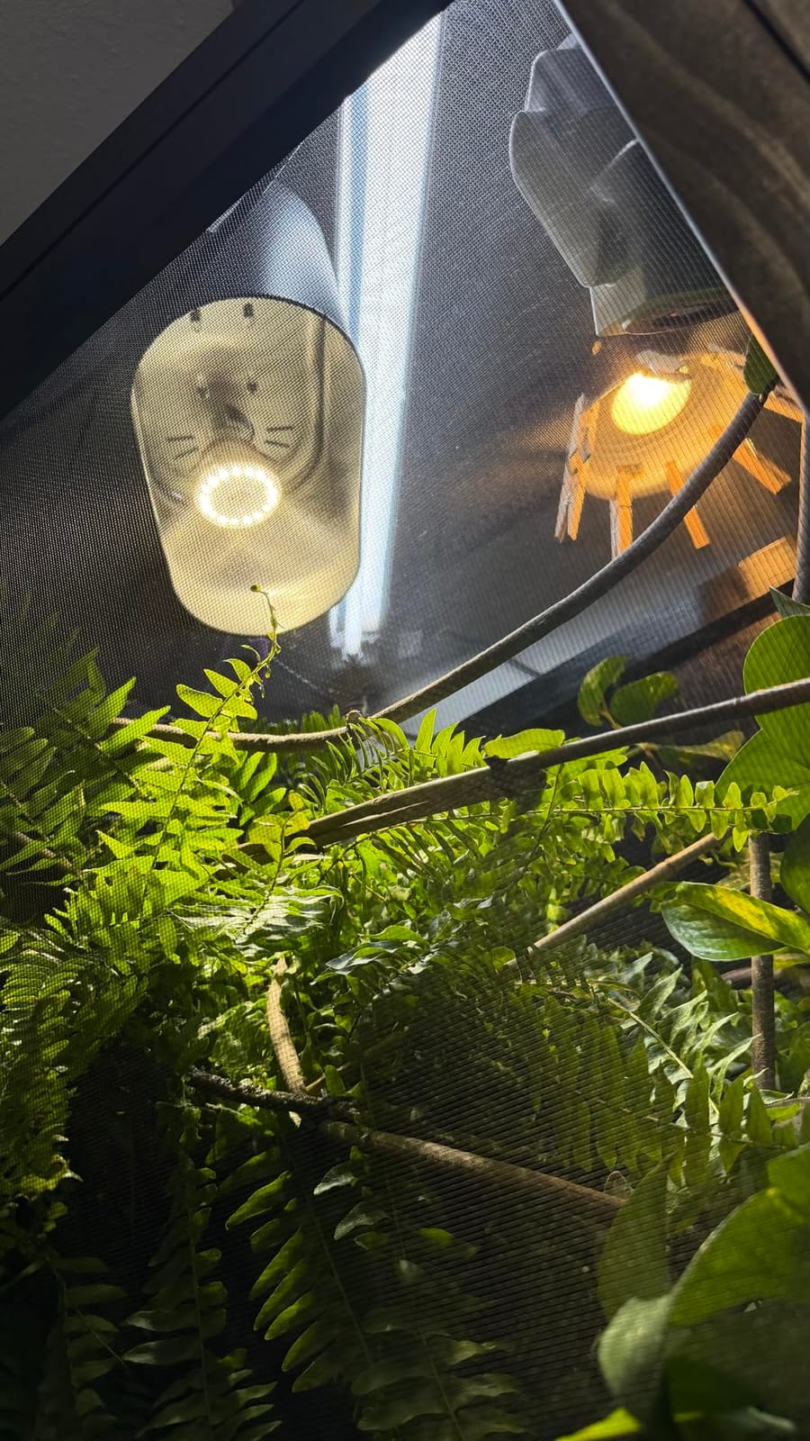 Zoo Med ReptiSun T5-HO 5.0 Terrarium Hood, 36