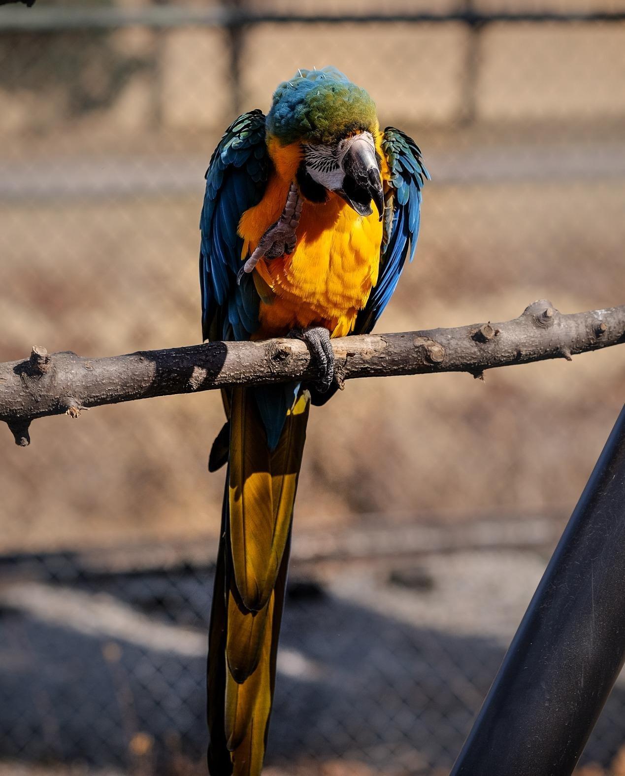 Fujifilm XF90mmF2 R LM WR customer photo 1