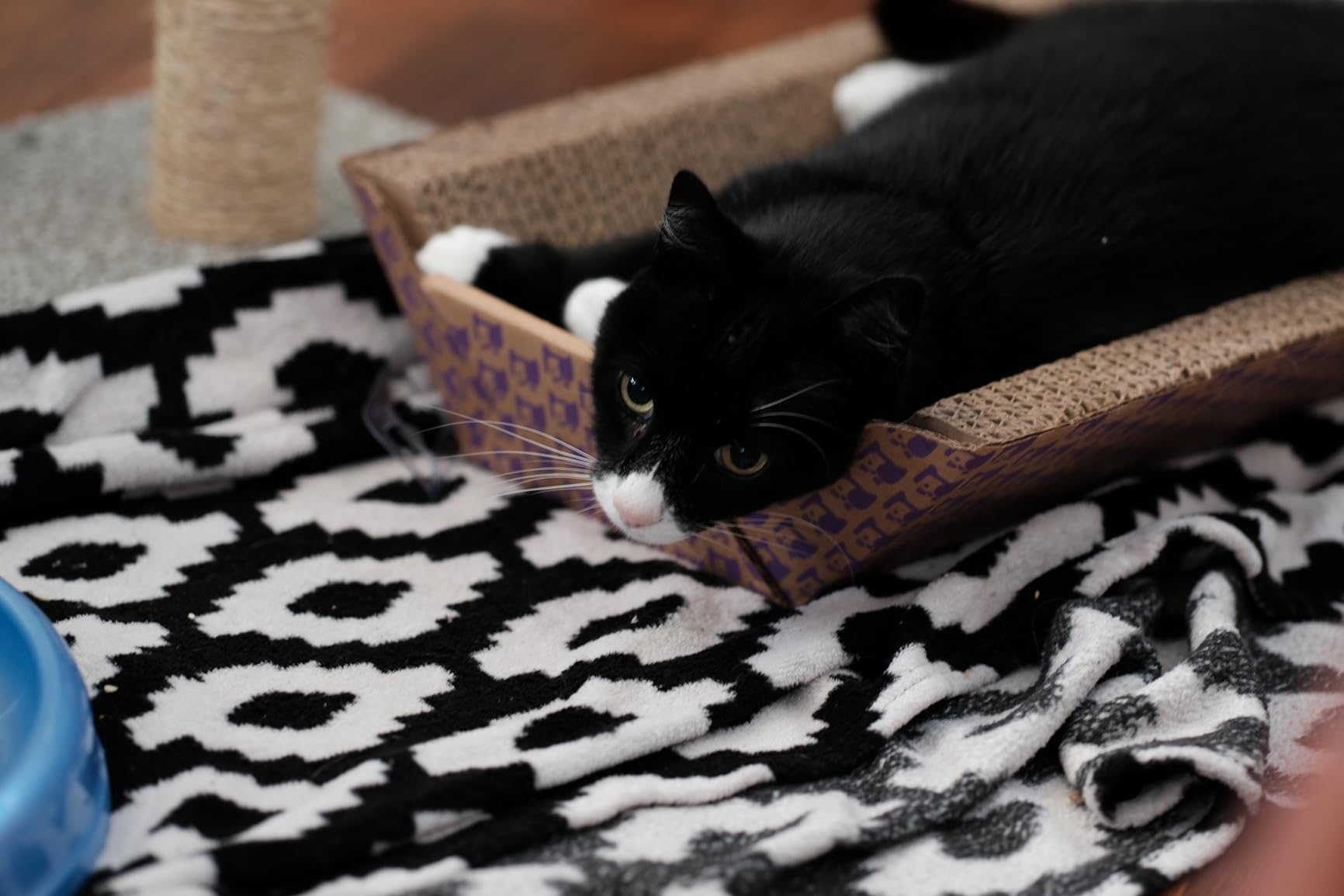 Fujifilm XF90mmF2 R LM WR customer photo 2