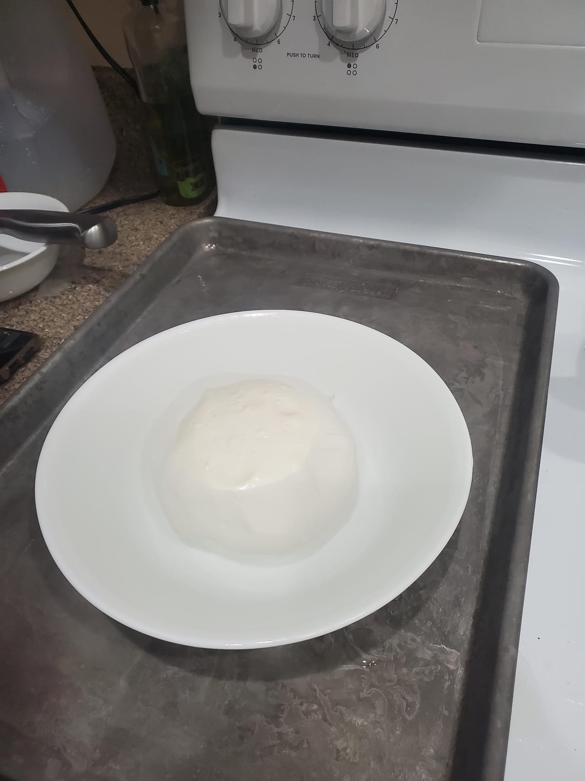 Mozzarella & Ricotta Cheese Making Kit | 5 Piece DIY Kit Includes Cheesecloth, Vegetable Rennet, Citric Acid, Cheese Salt, & Cooking Thermometer | Great Gift Ideas | Italian Cheese Making Supplies customer photo 1