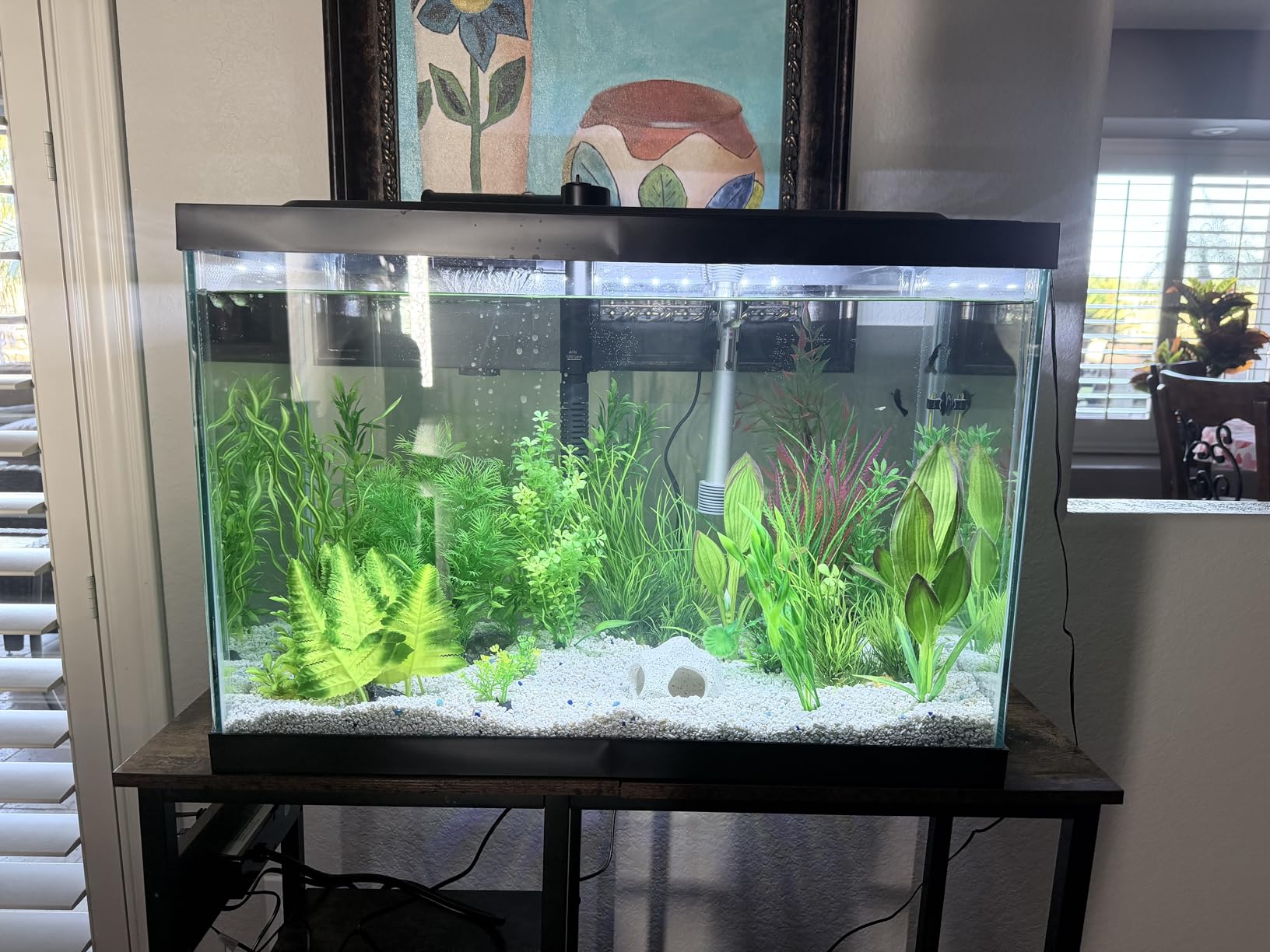 Tetra 20 Gallon Complete Tropical Fish Tank Kit customer photo 2