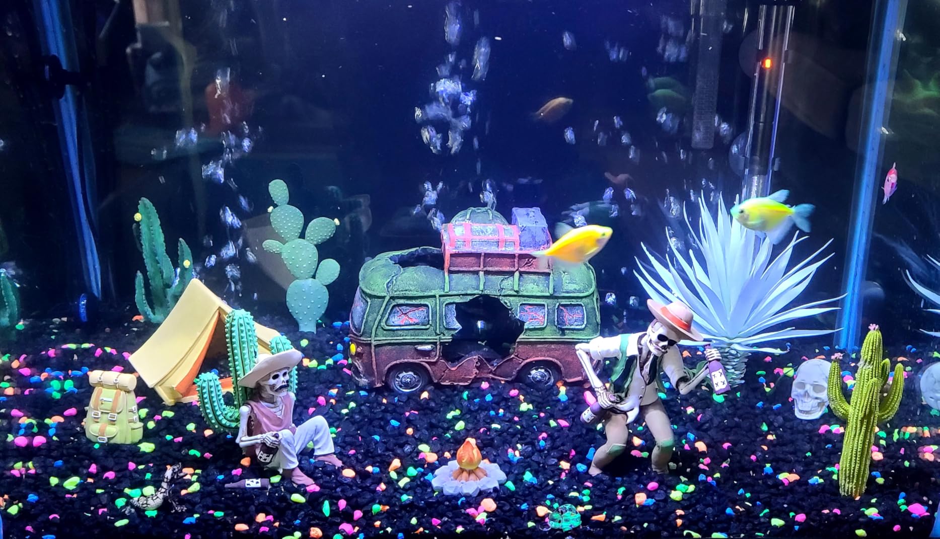 GloFish 20 Gallon Aquarium Kit with LED Lights, Decor Heater and Filter customer photo 2