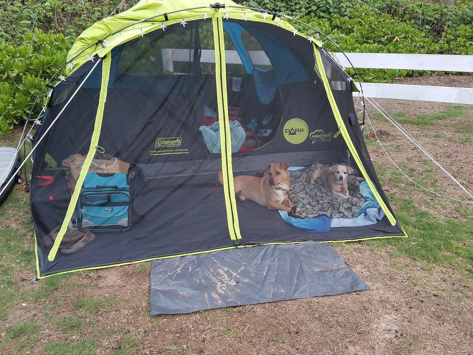 Coleman Carlsbad Dark Room Tent with Screened Porch, 4/6 Person Tent Blocks 90% of Sunlight to Keep Inside Cool, Weatherproof Shelter with Easy Setup customer photo 2