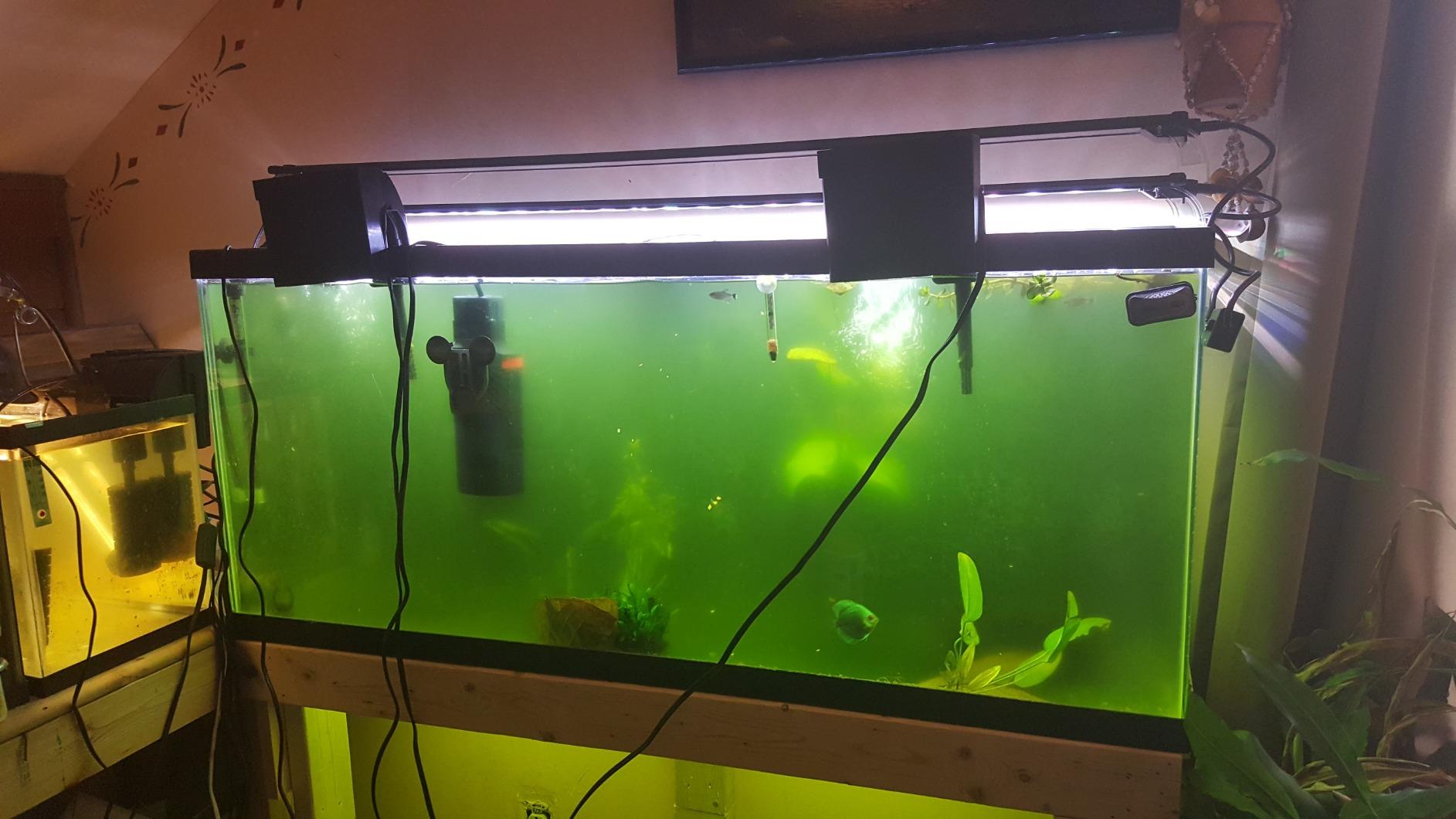 Marineland Magnum 290 GPH Polishing Canister Aquarium Filter customer photo 2