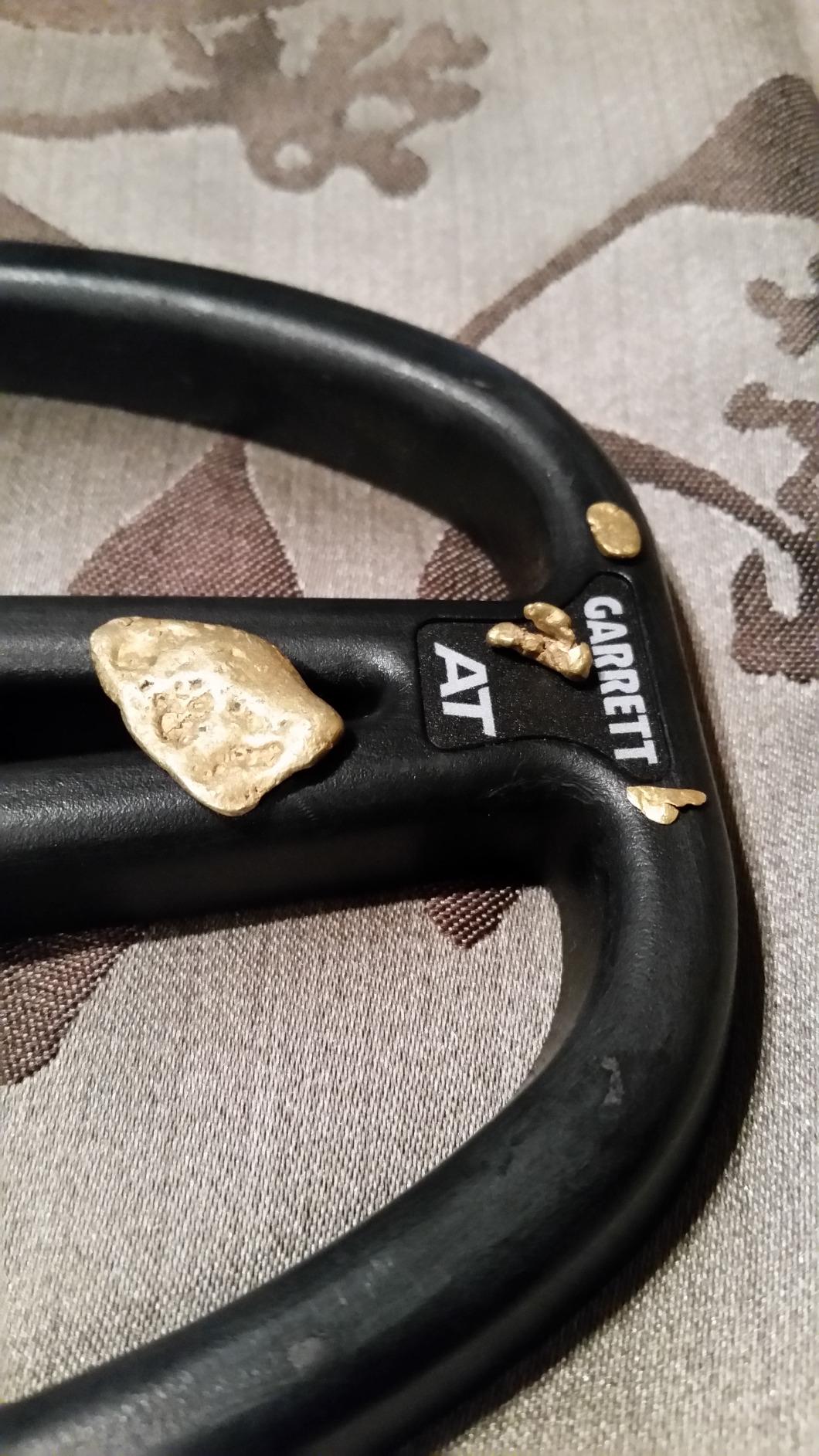 Garrett AT Gold Metal Detector, Waterproof, Made in USA customer photo 1