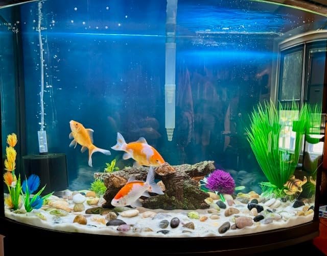 API 5-IN-1 TEST STRIPS Freshwater and Saltwater Aquarium Test Strips 100-Count Box customer photo 2