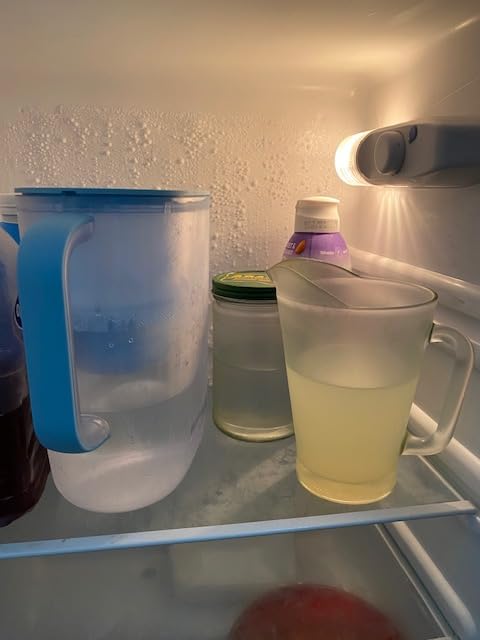Waterdrop PT-07B Water Filter Pitcher, 10-Cup, NSF Certified, Blue customer photo 2