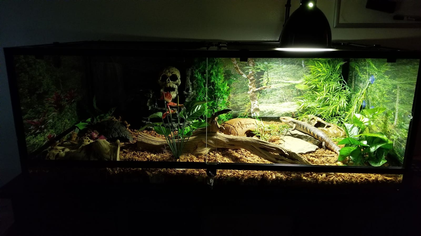 Carolina Custom Cages, 48Lx18Wx36H Extra-Tall Extra-Long Terrarium; Easy Assembly customer photo 2
