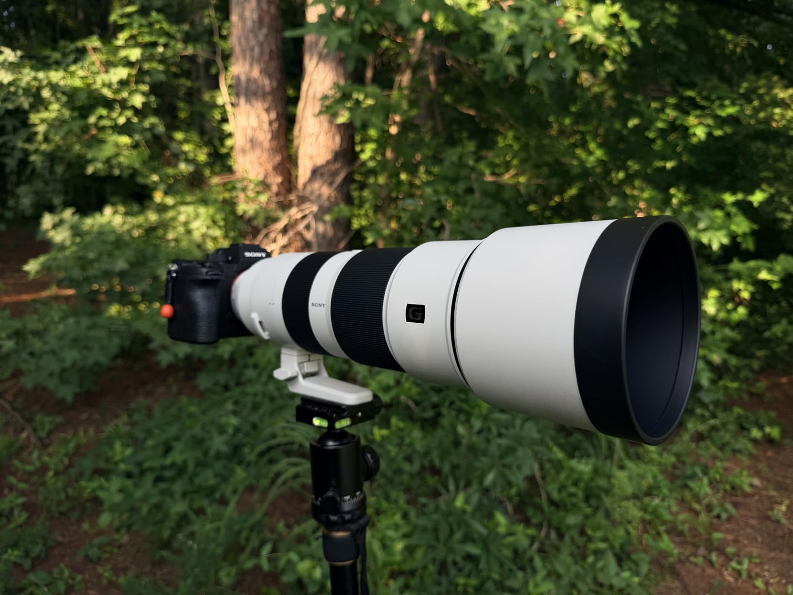 Sony FE 200-600mm f/5.6-6.3 G OSS Super Telephoto Zoom Lens customer photo 1