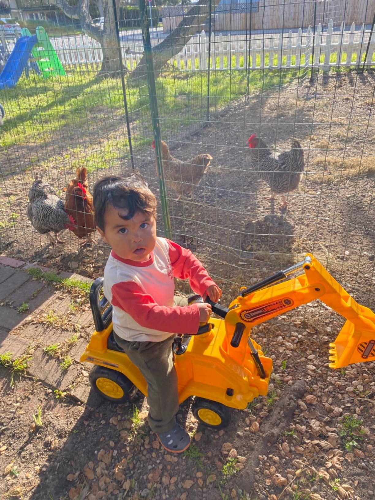 HOMCOM Ride On Excavator Pull Cart Kids Digger with Horn Ages 18-48 Months customer photo 2