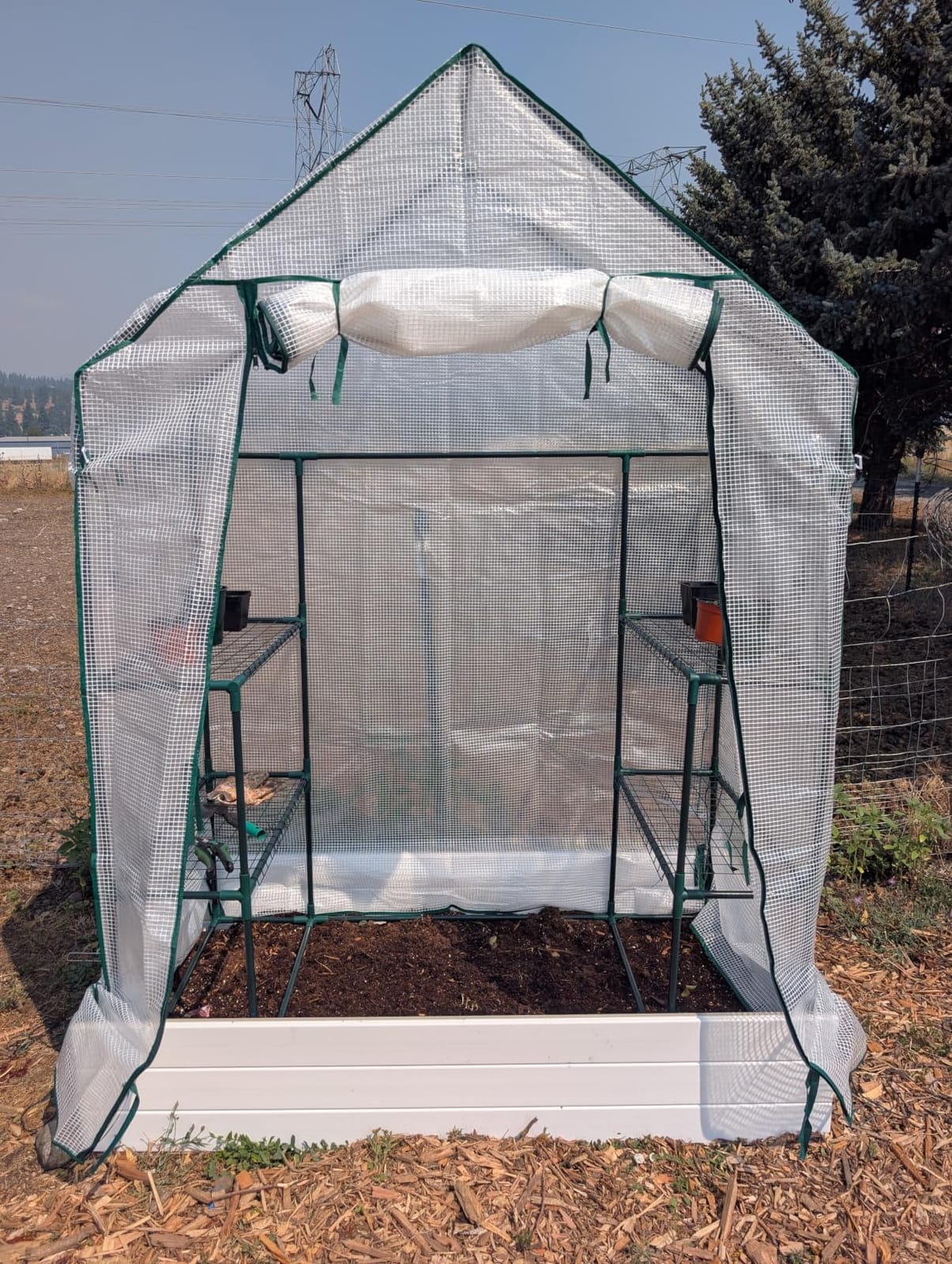 Portable Walk-in Greenhouse for Outdoors, 56x30x76 Plant House with Shelves customer photo 1