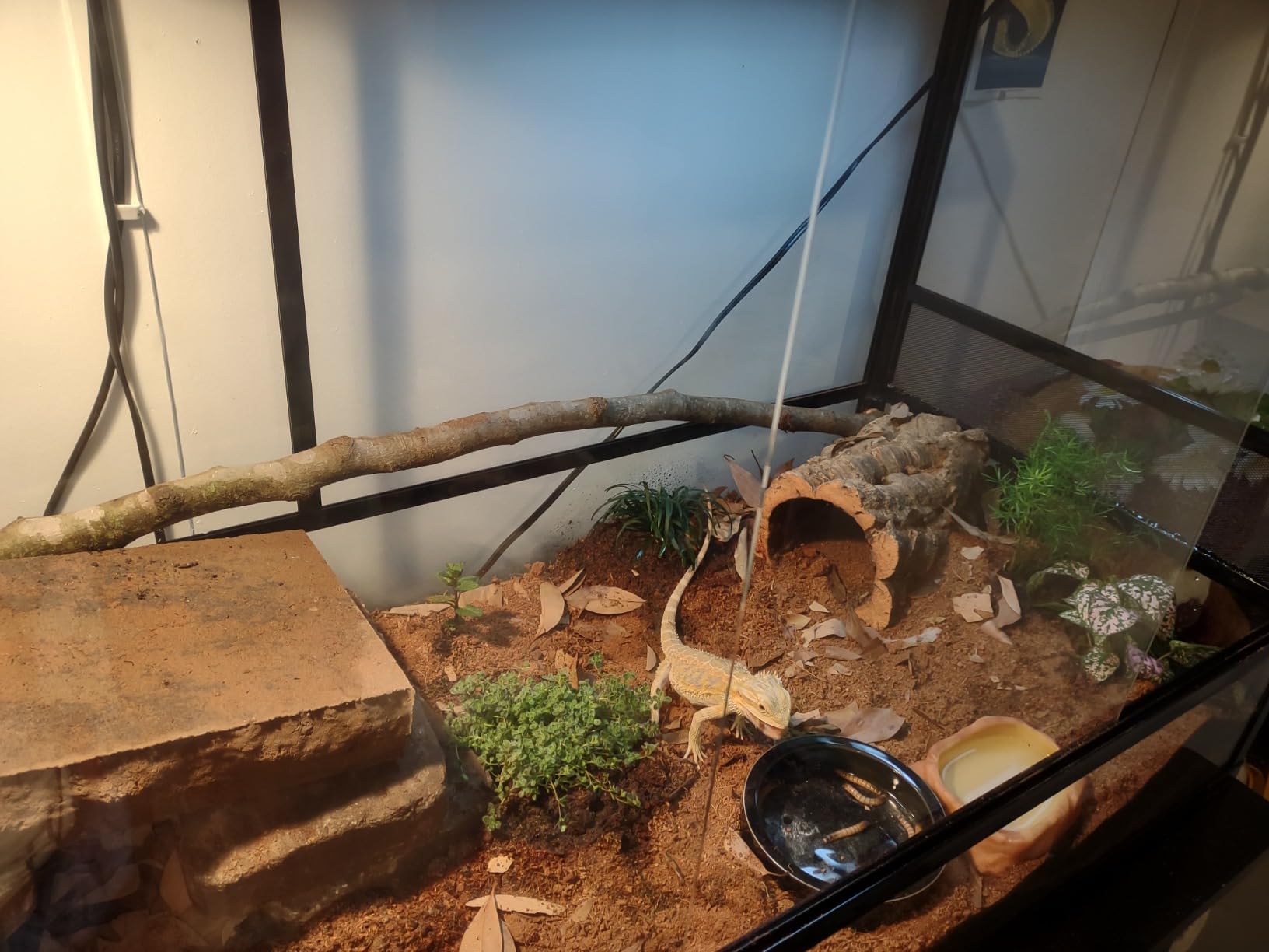 REPTI ZOO 85 Gallon Large Reptile Tank, Wide & Tall Tempered Glass Large Reptile Terrarium 47.2