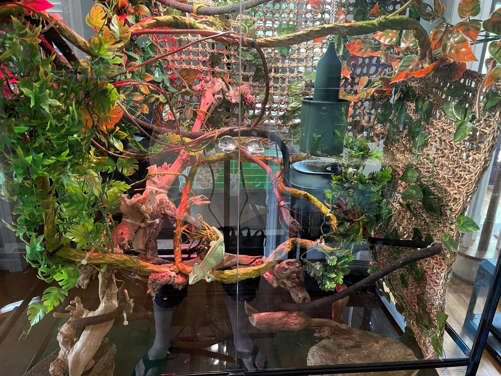 REPTI ZOO Large Reptile Terrarium, Vertical Reptile Tank, Wide & Tall Chameleon Cage with Top Screen Ventilation (36