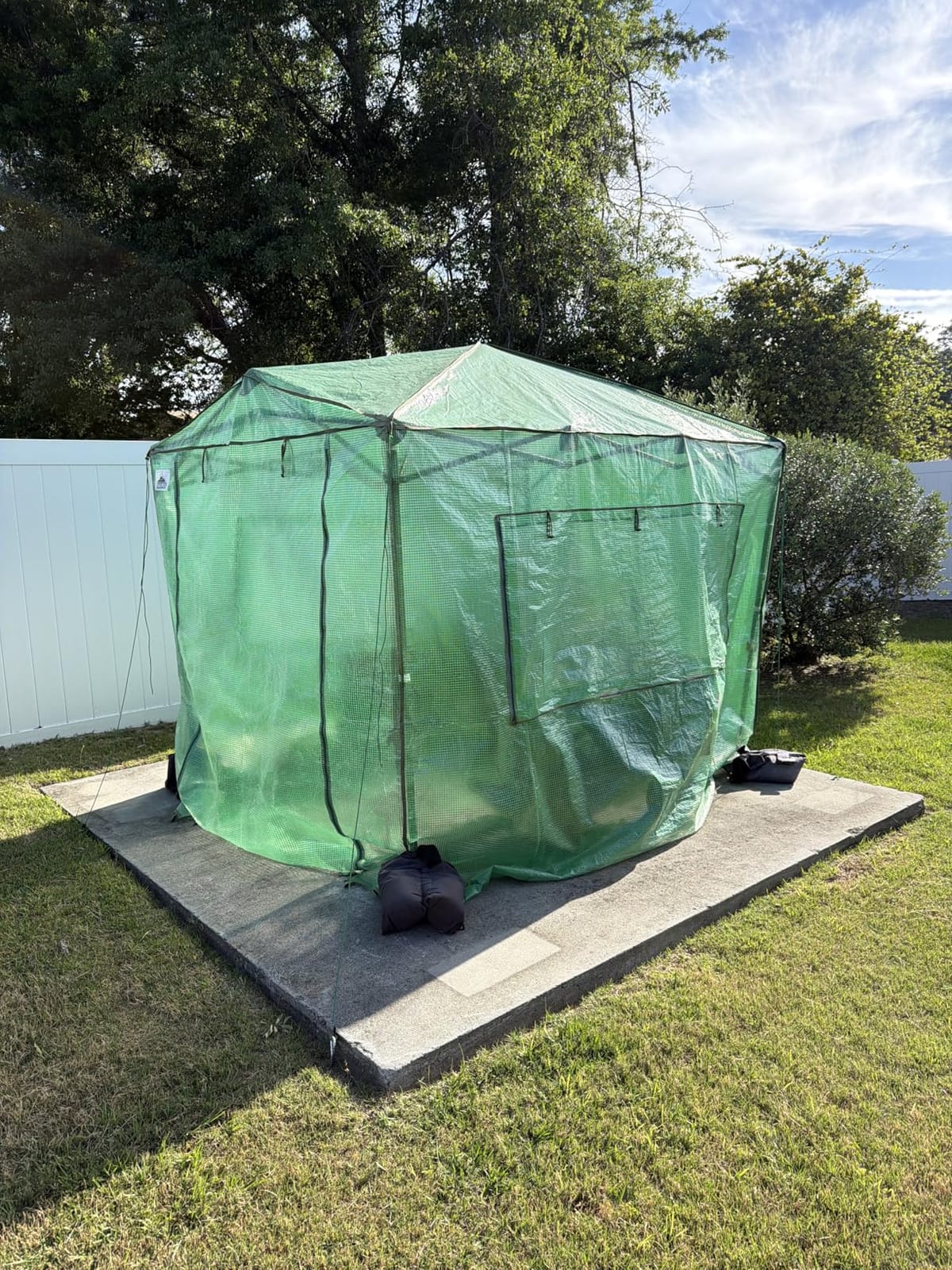 EAGLE PEAK 6x4 Easy Setup Small Pop Up Greenhouse, Clear/Green customer photo 1