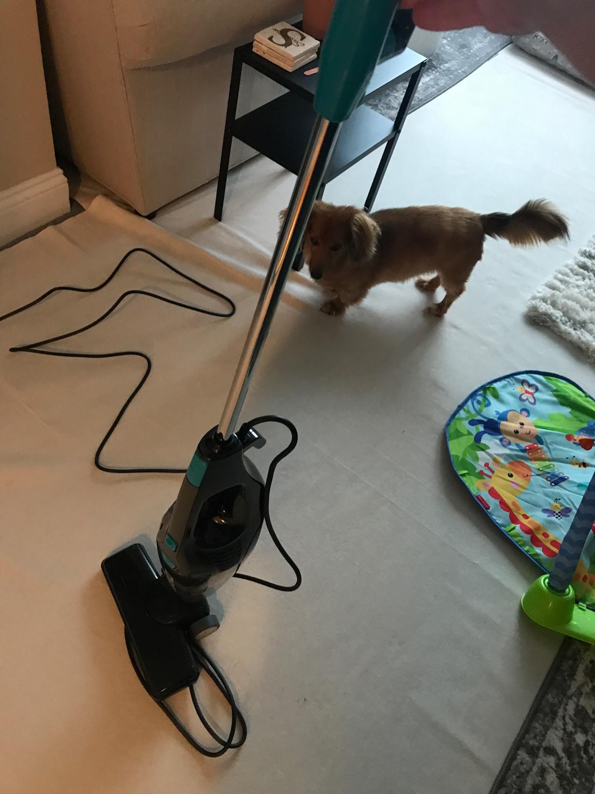 Eureka Blaze Stick Vacuum Cleaner, 3-in-1 Small Vacuum for Home, Aqua Blue customer photo 2