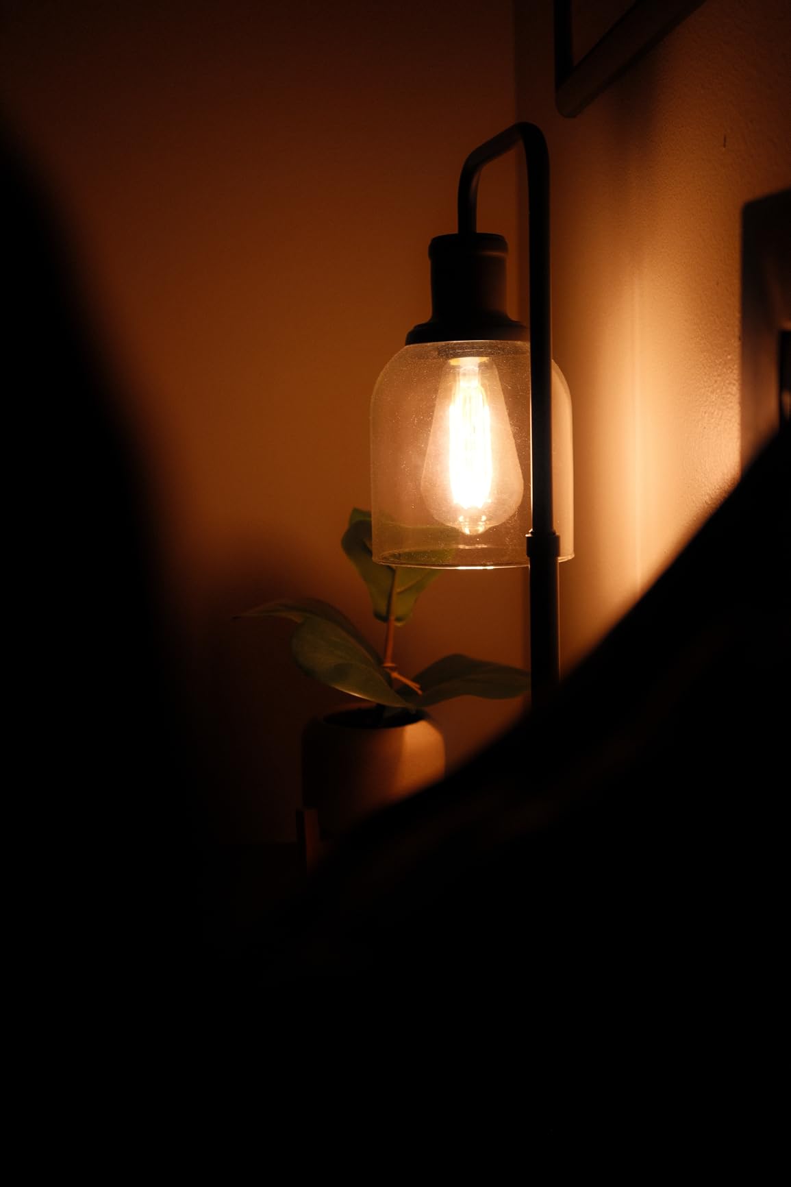 Fujifilm Fujinon XF27mmF2.8 R WR customer photo 2