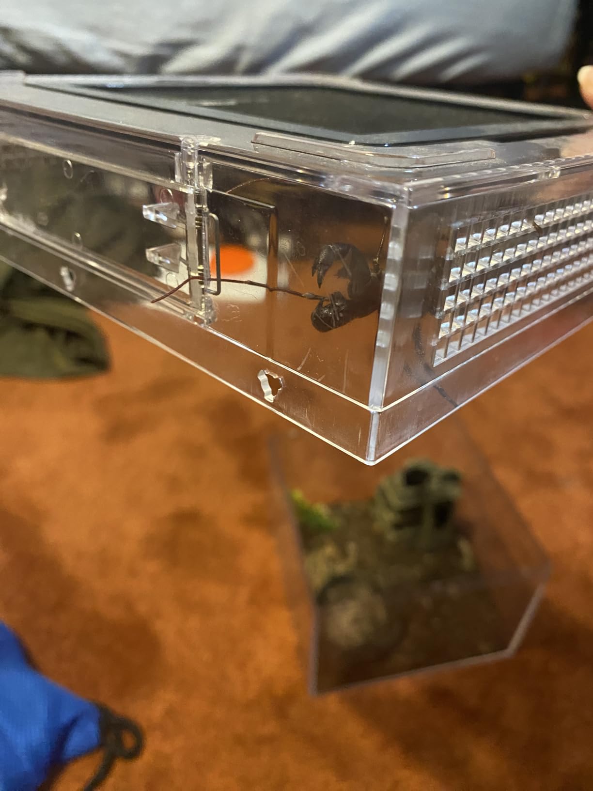Reptile Growth mini Reptile Terrarium,8