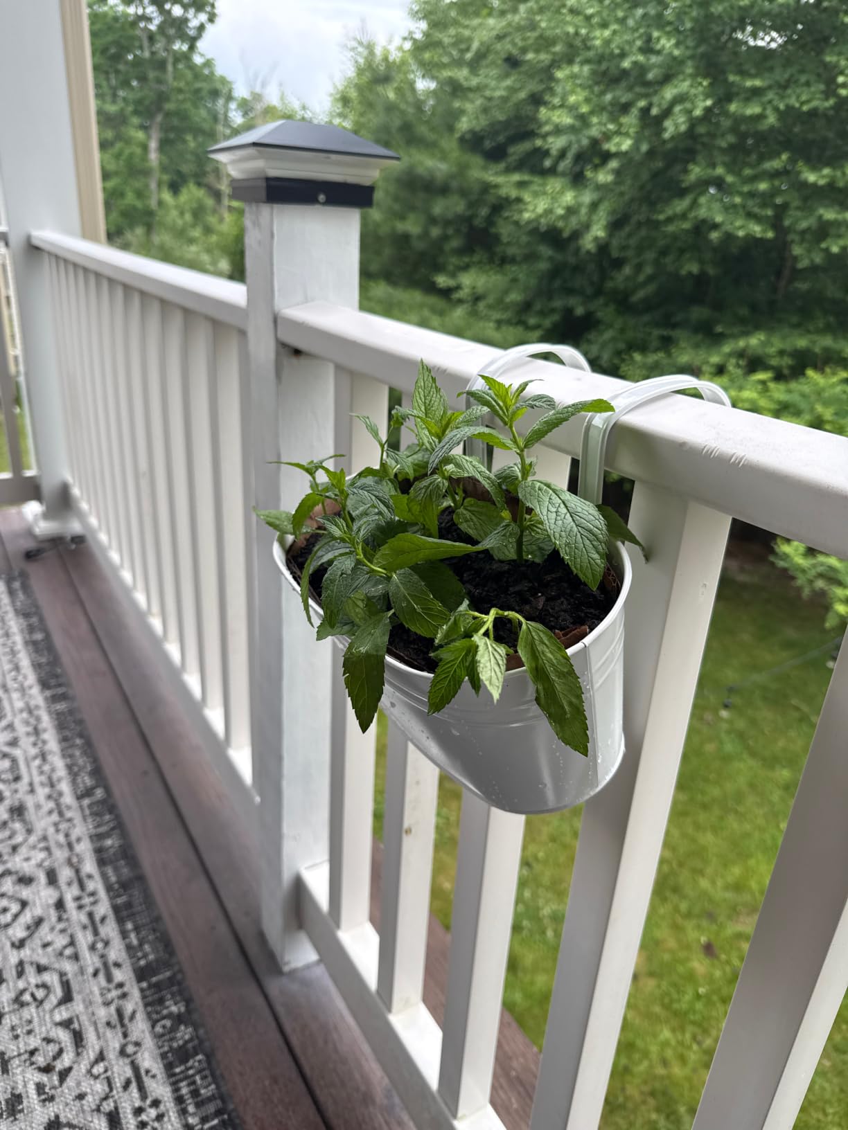 Dahey 10.5 Inch Metal Hanging Flower Pot 3 Pcs Outdoor Railing Planter Box customer photo 1