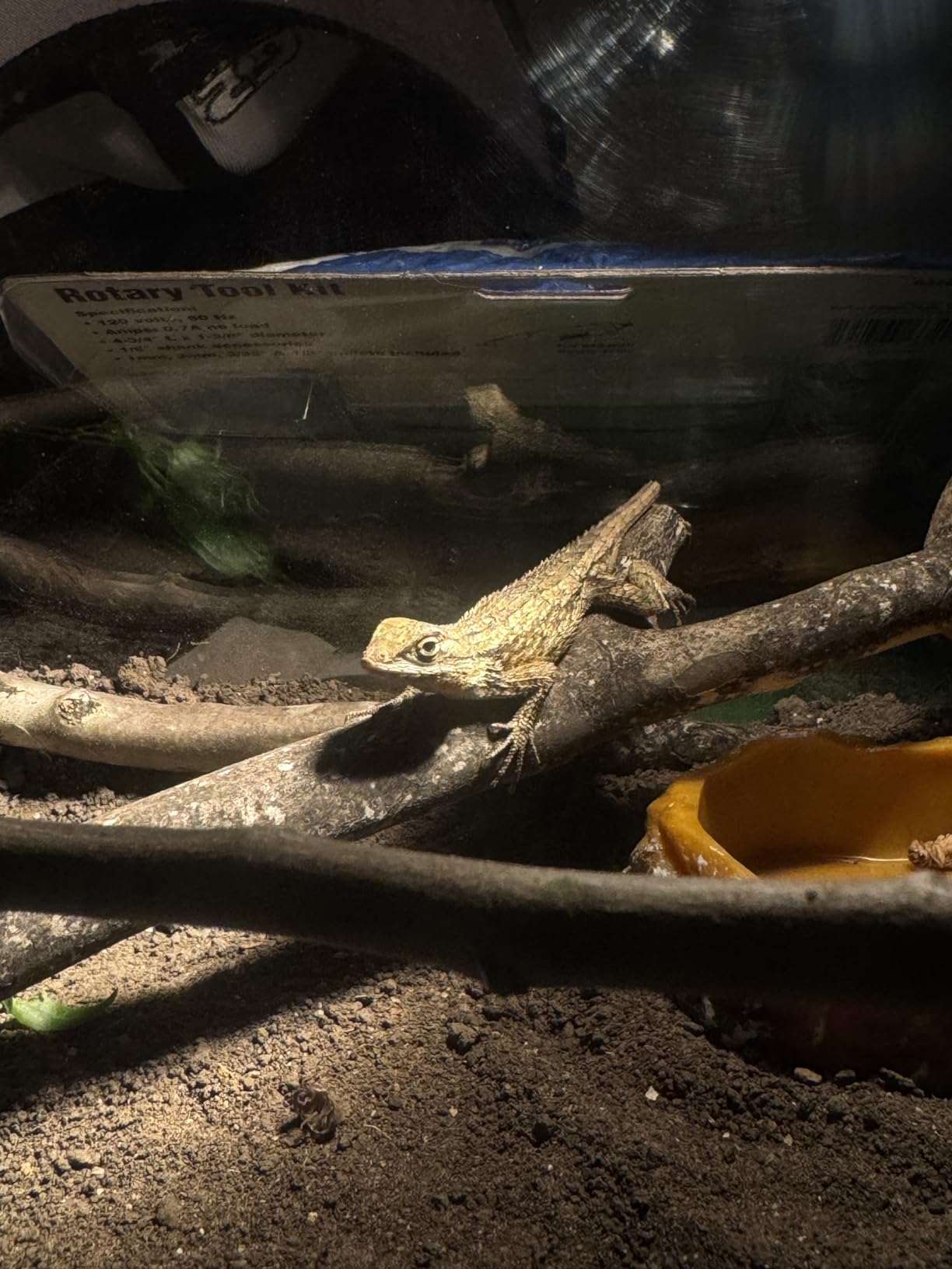 HELIME Reptile Tank 7 Piece Starter Kit with Escape Proof Locking Lid Small customer photo 1