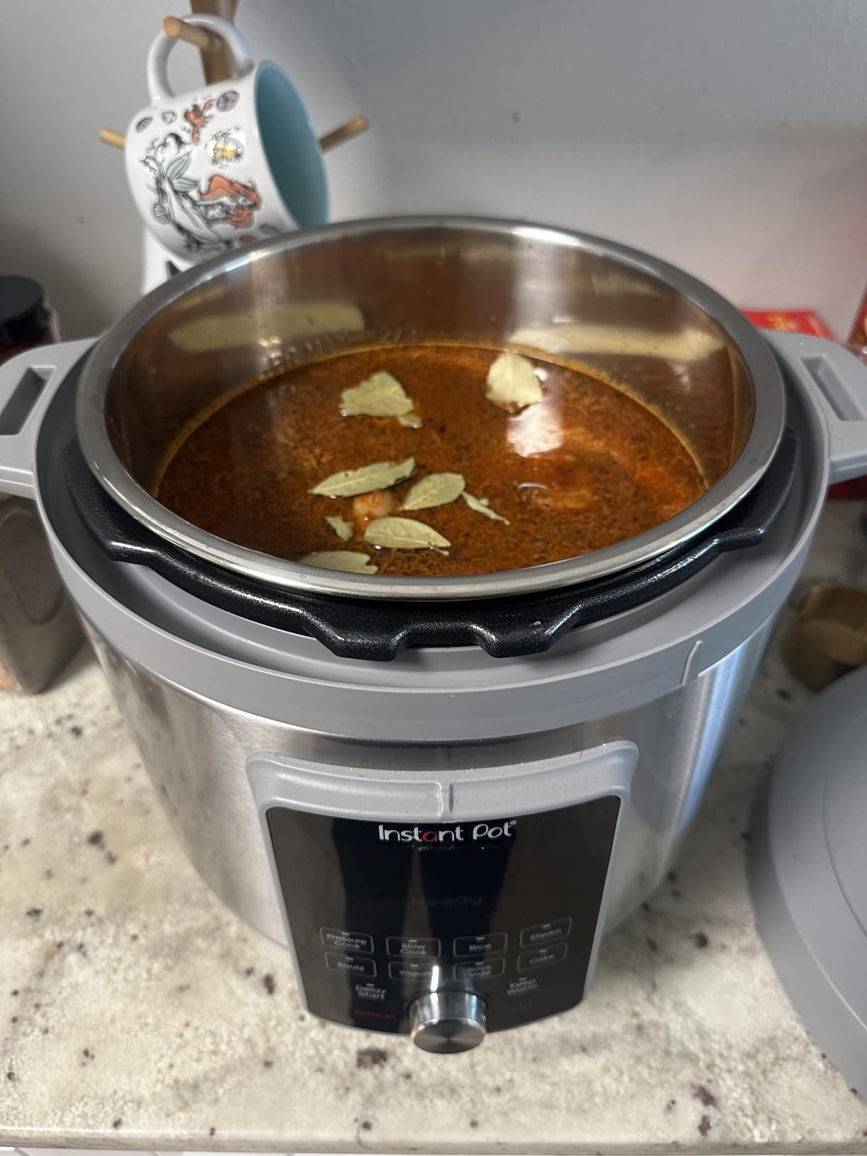 Instant Pot, 6-Quart Whisper Quiet 9-in-1 Electric Pressure Cooker, Slow Rice Steamer, Sauté, Yogurt Maker, Warmer & Sterilizer, Free App with 800+ Recipes, Stainless Steel customer photo 2