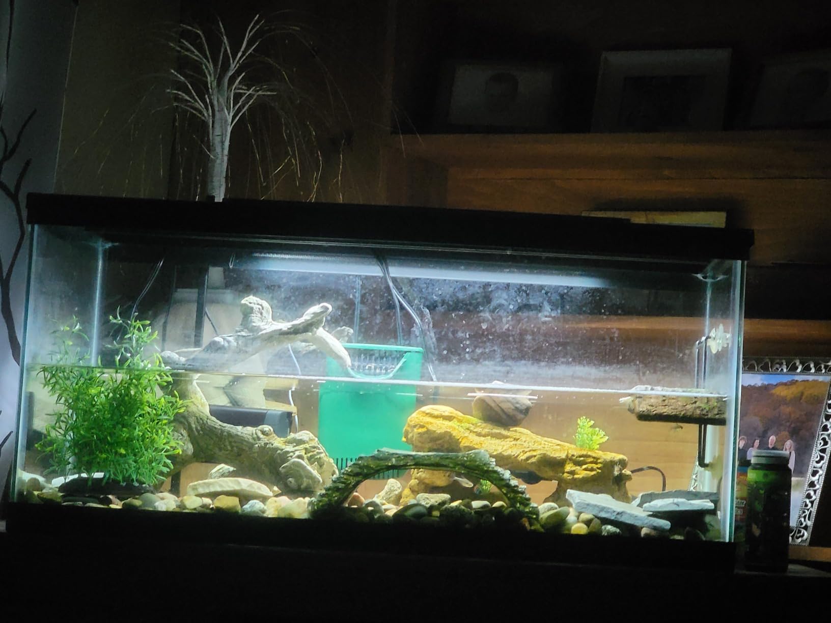 REPTI ZOO 24W Reptile T5 HO UVB Lighting Combo Kit, 22