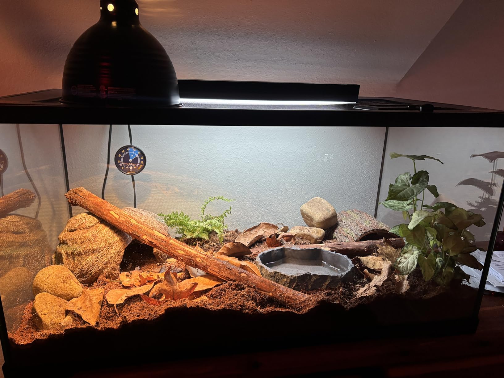 REPTI ZOO 24W Reptile T5 HO UVB Lighting Combo Kit, 22