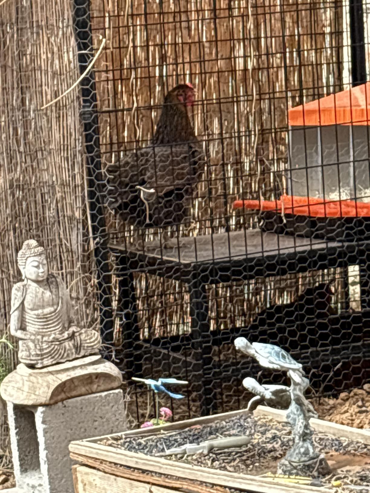 ZenxyHoC Chicken Nesting Box Red 3 Compartments customer photo 1