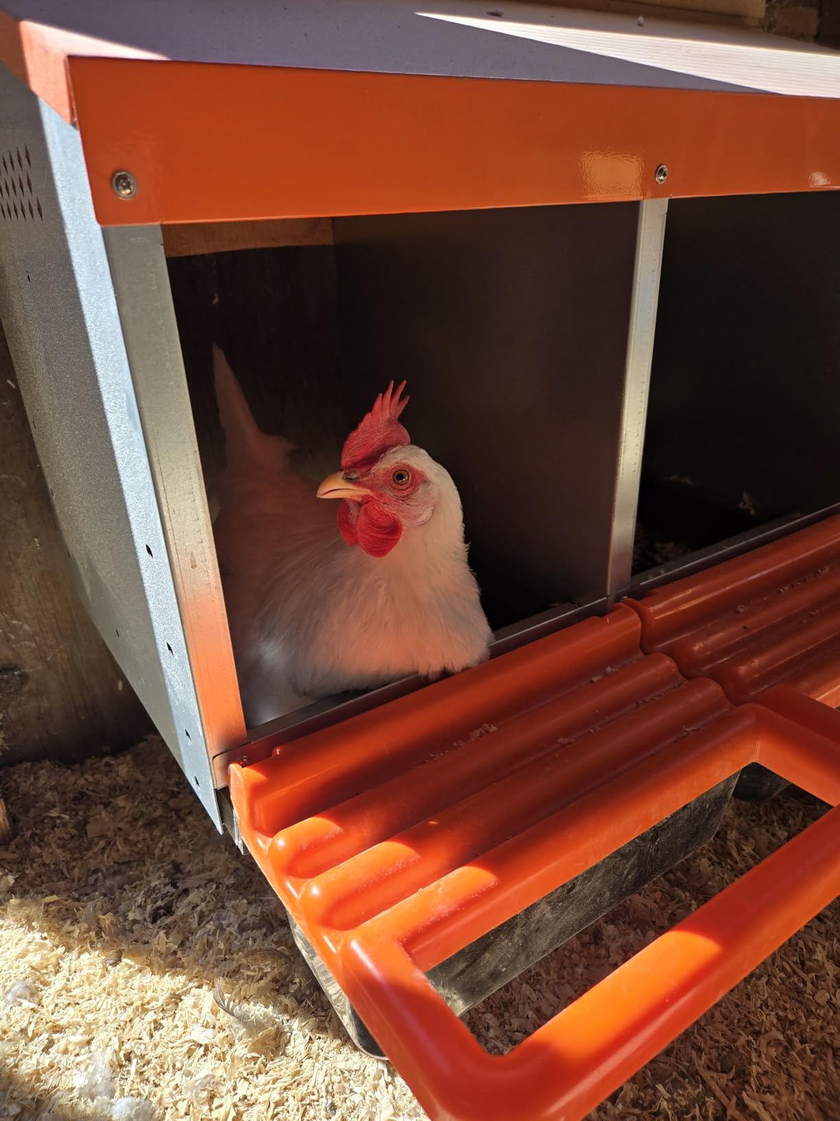 ZenxyHoC Chicken Nesting Box Red 3 Compartments customer photo 2