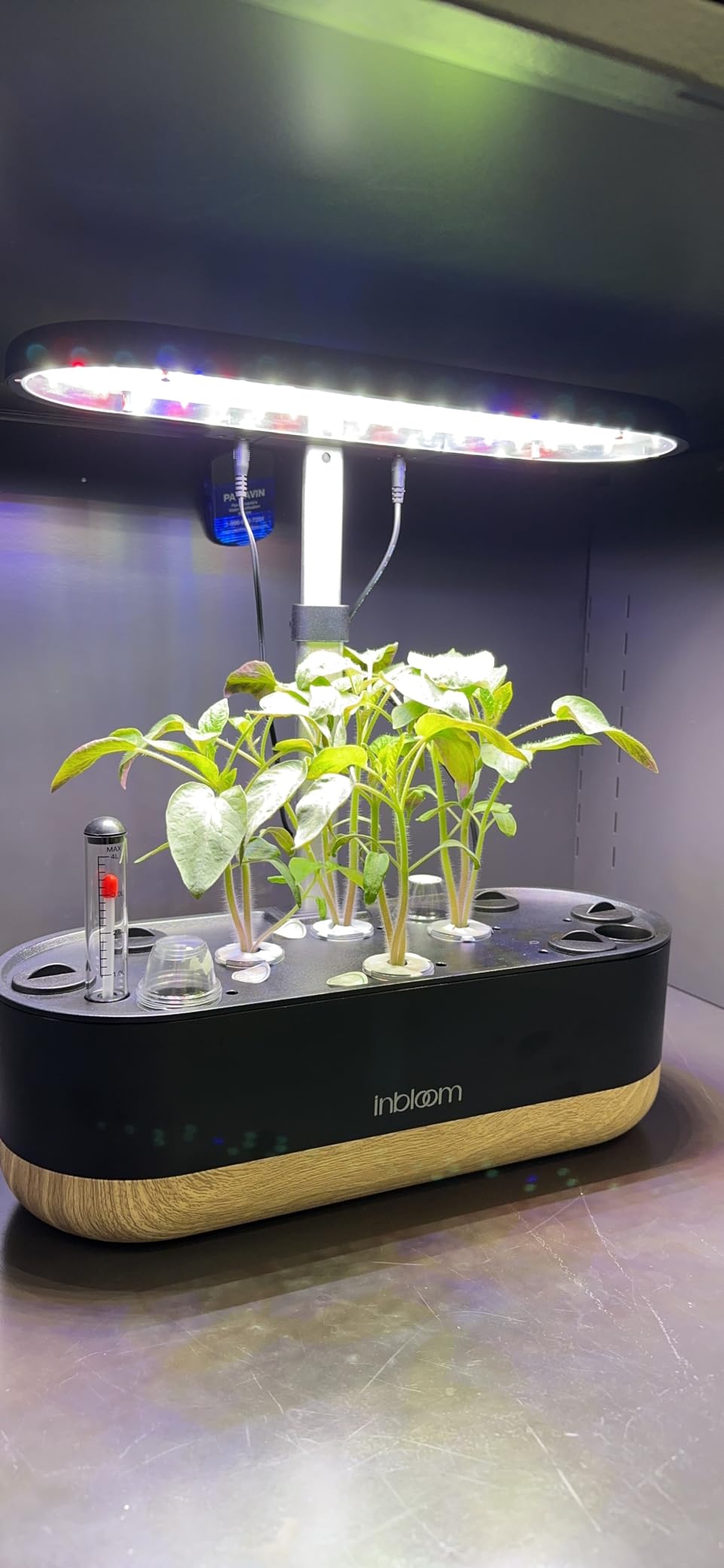 inbloom Hydroponics Growing System 12 Pods, Indoor Herb Garden with LEDs Full-Spectrum Plant Grow Light, Water Shortage Alarm, Automatic Timer, Height Adjustable, Ideal Gardening Gifts for Women customer photo 2