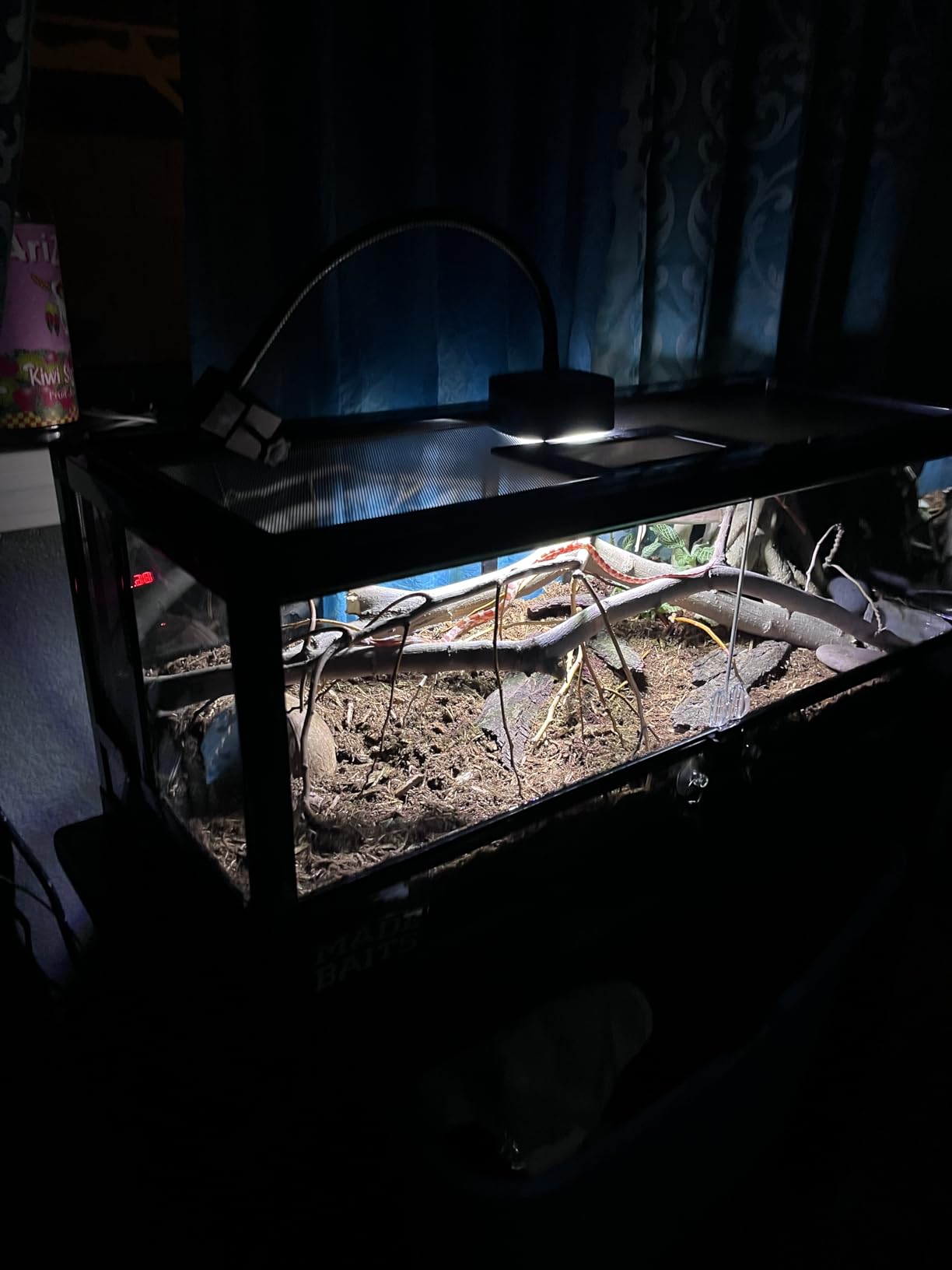 Zilla QuickBuild Reptile 65 Gallon Glass Terrarium, 48
