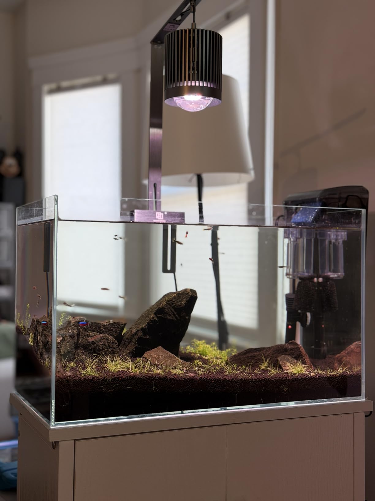LAQUAL Rimless Glass Aquarium Starter Kit (3 Gal), Ultra Clear Low Iron Glass Fish Tank Set, Small Beta Fish Tank & Filter with Surface Skimmer & 3-Mode LED Light customer photo 1