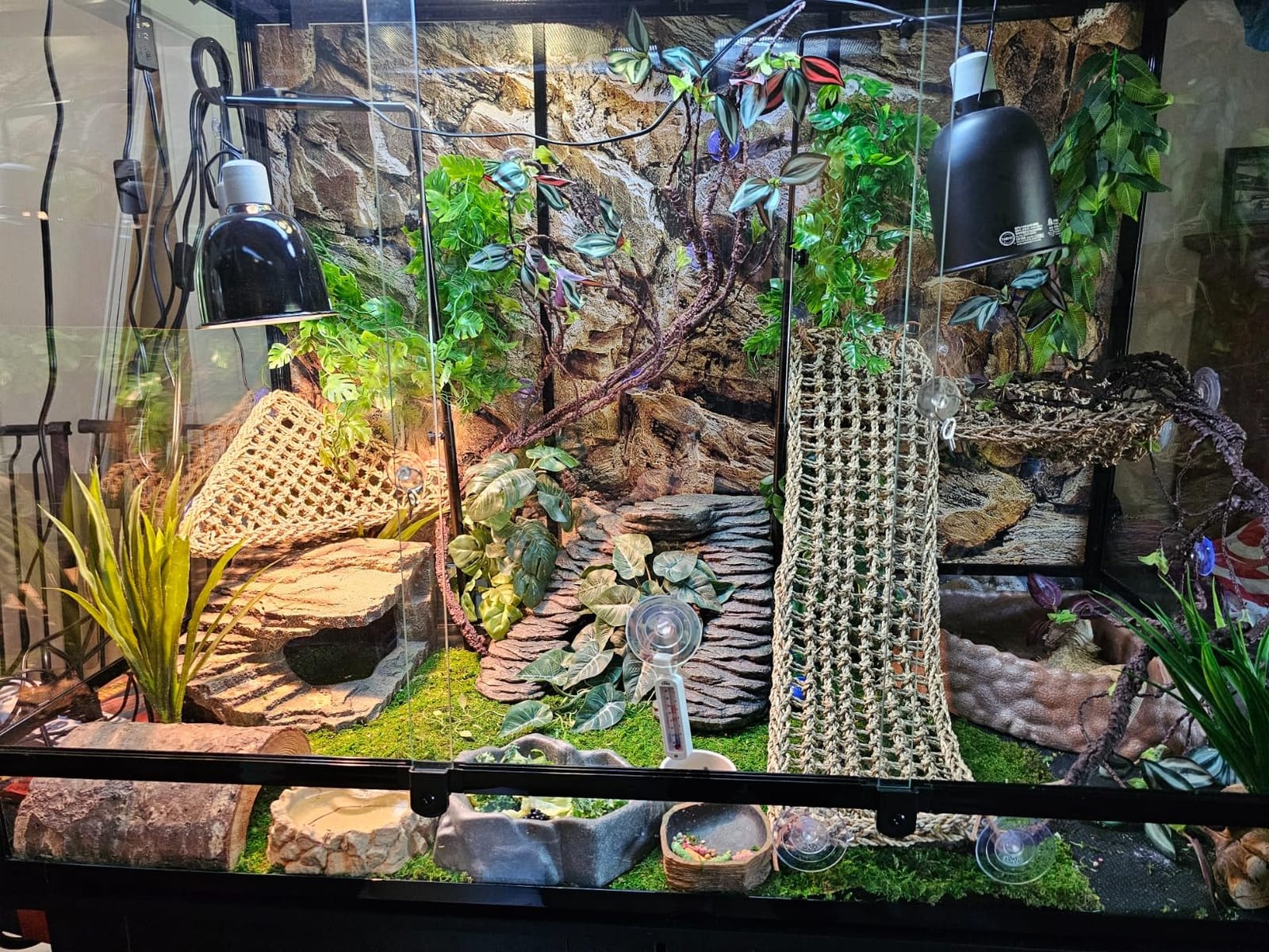 180 Gallon Large Reptile Terrarium, 48