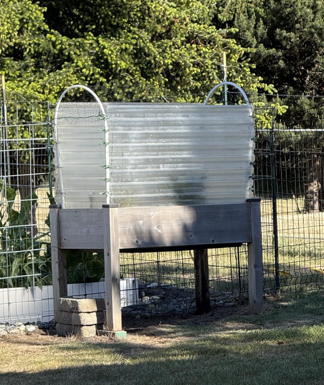 VIVOSUN 39x39x63-Inch Portable Walk-in Greenhouse, with PVC Cover & Detachable Base, Instant Pop-up and Folding, Mini Greenhouse with Roll-Up Door & Mesh Window for Indoor Outdoor, Wind Ropes Included customer photo 1