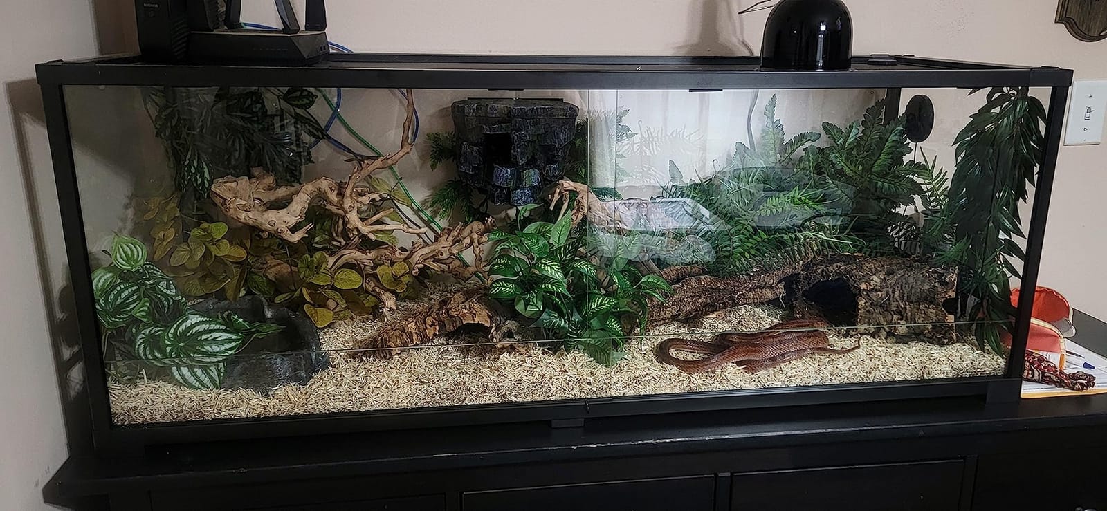 Double Stacked Reptile Tank, 24