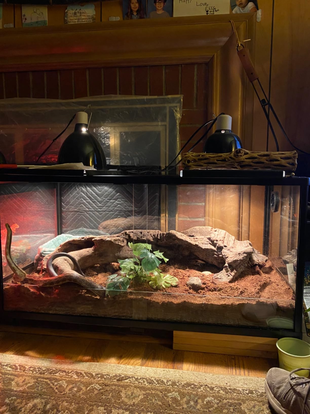 Double Stacked Reptile Tank, 24