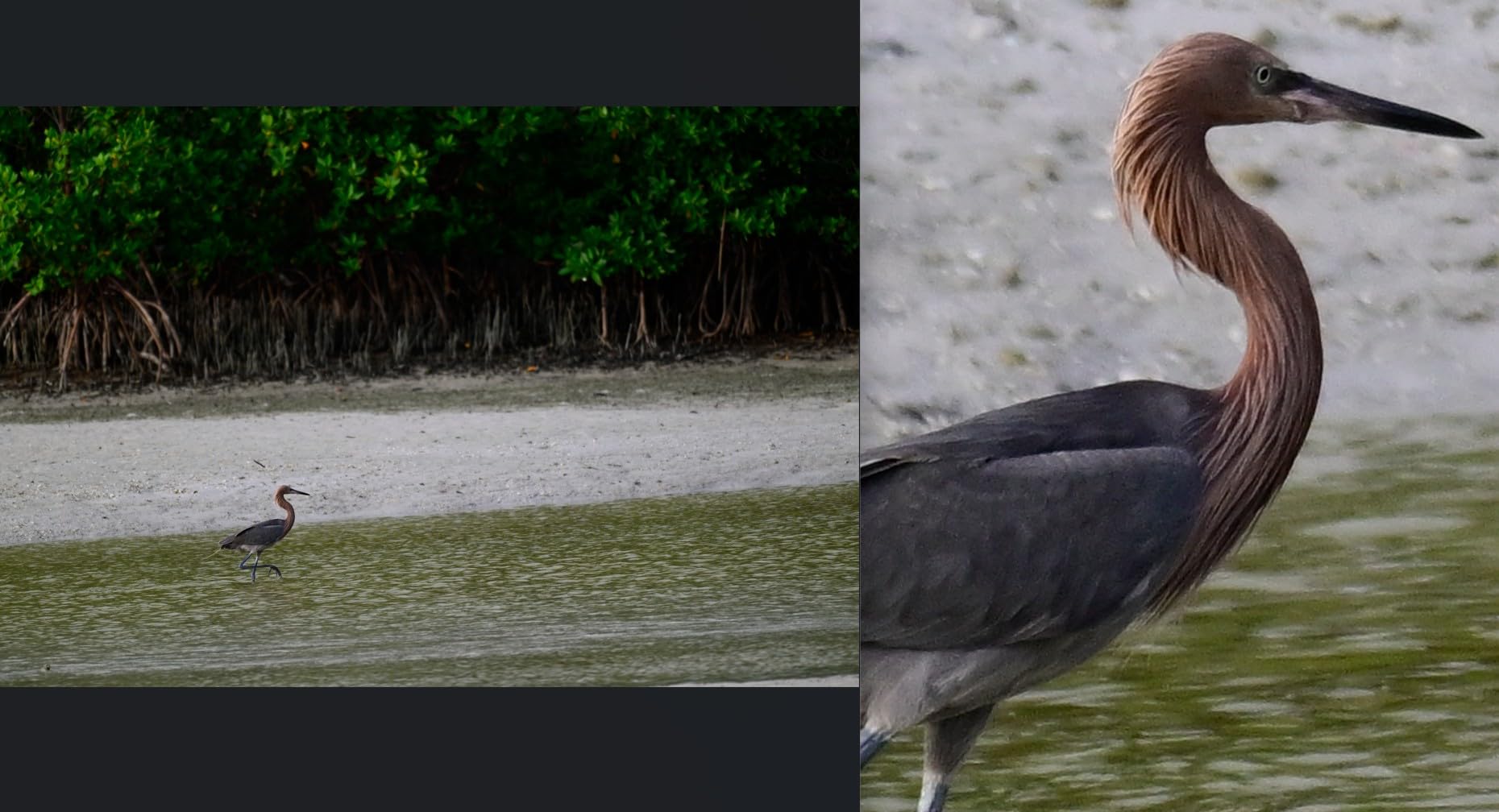 NIKON NIKKOR Z 180-600mm f/5.6-6.3 VR customer photo 1