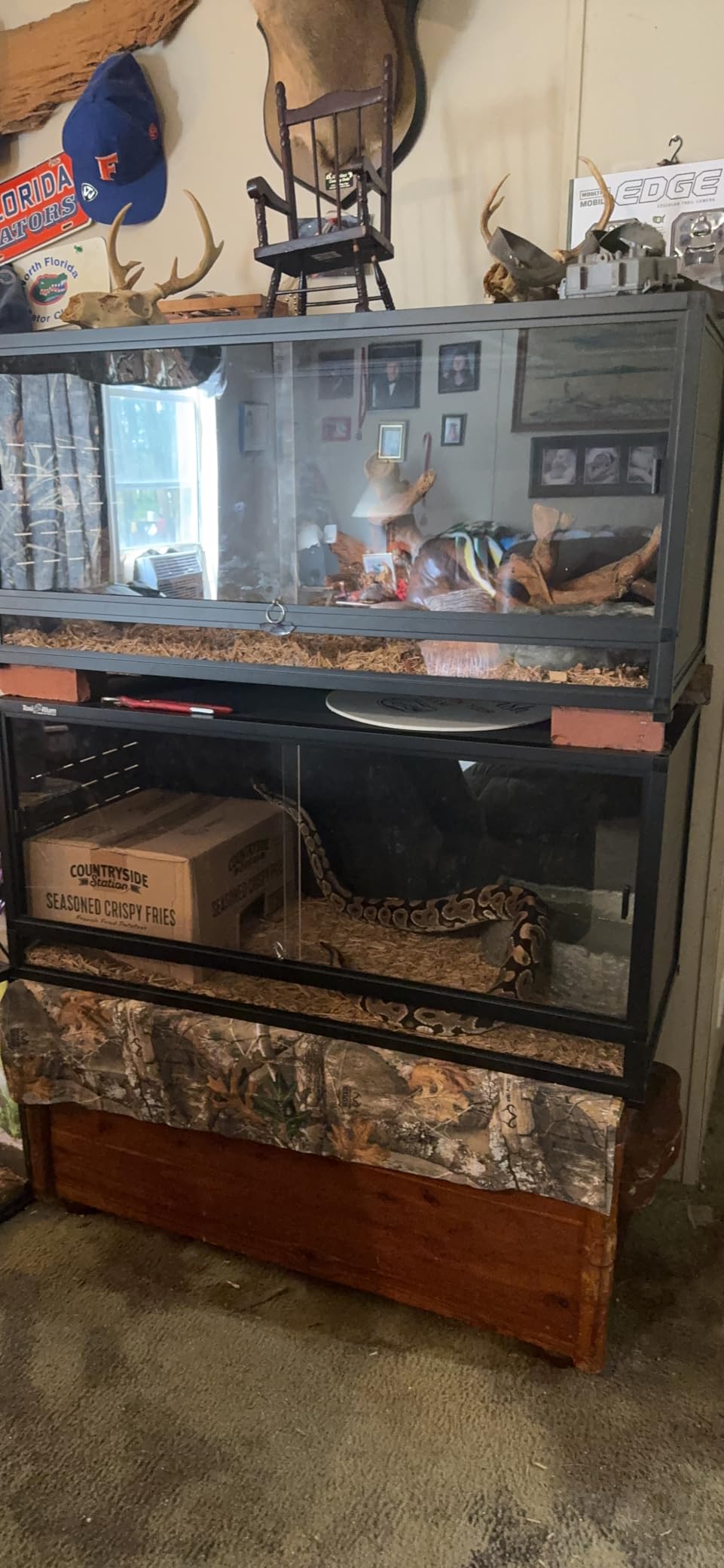 PVC Reptile Enclosure Space Efficient 44''x20''x20'' Stackable ToxiRium Large Reptile Terrarium 76 Gallons for Bearded Dragon Lizard Snake, Breeding Vivarium with Sliding Doors Lock-2pcs with spacers customer photo 2