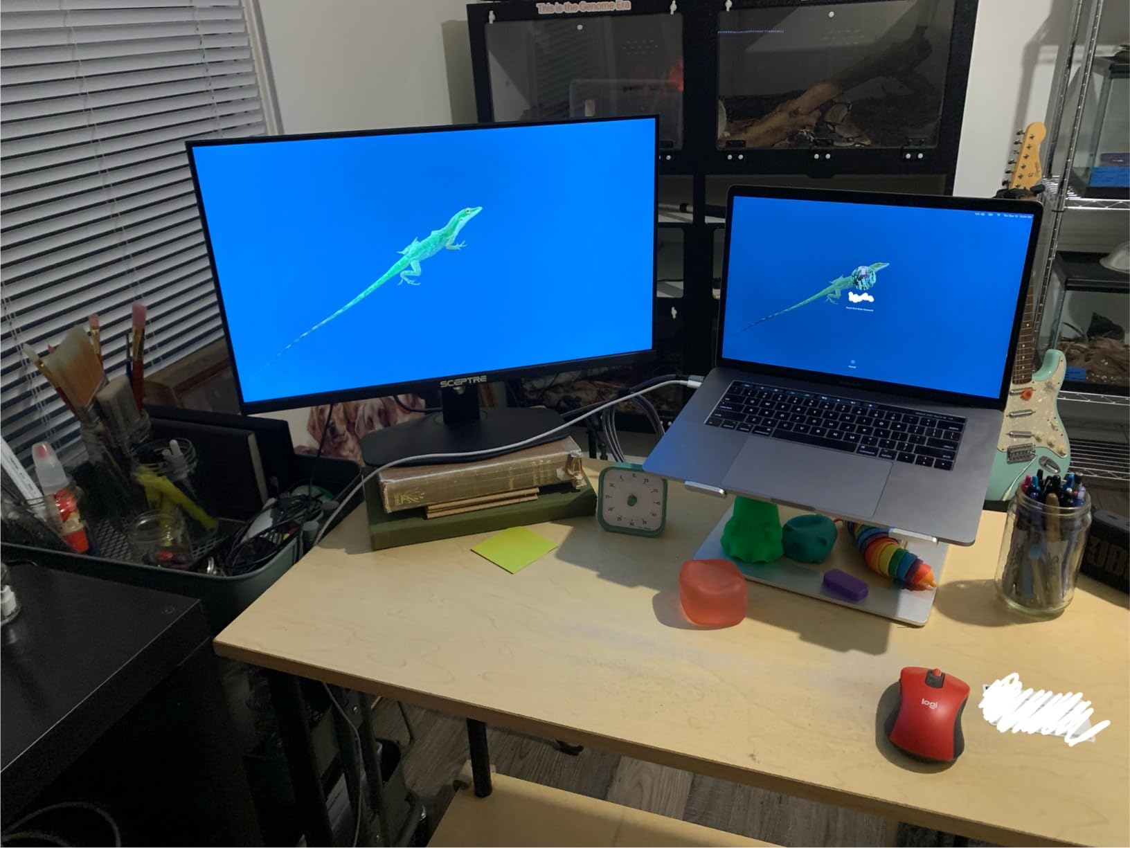 Sceptre Prime 24-inch Gaming Monitor 100Hz 1ms DisplayPort HDMI x2 100% sRGB AMD FreeSync Build-in Speakers, Eye Care Frameless Machine Black 2025 (E248W-FW100T) customer photo 2